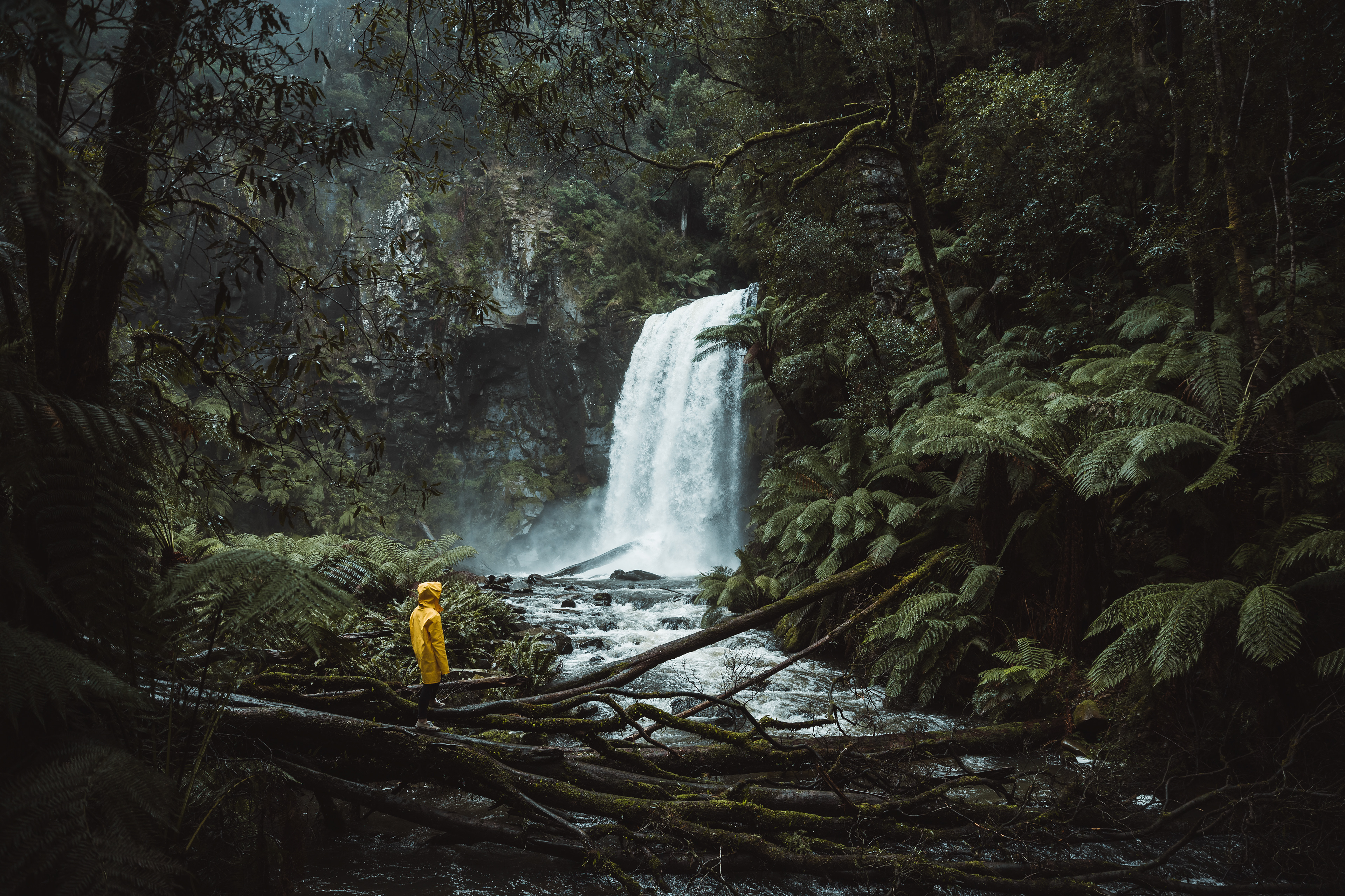 Hopetoun Falls
