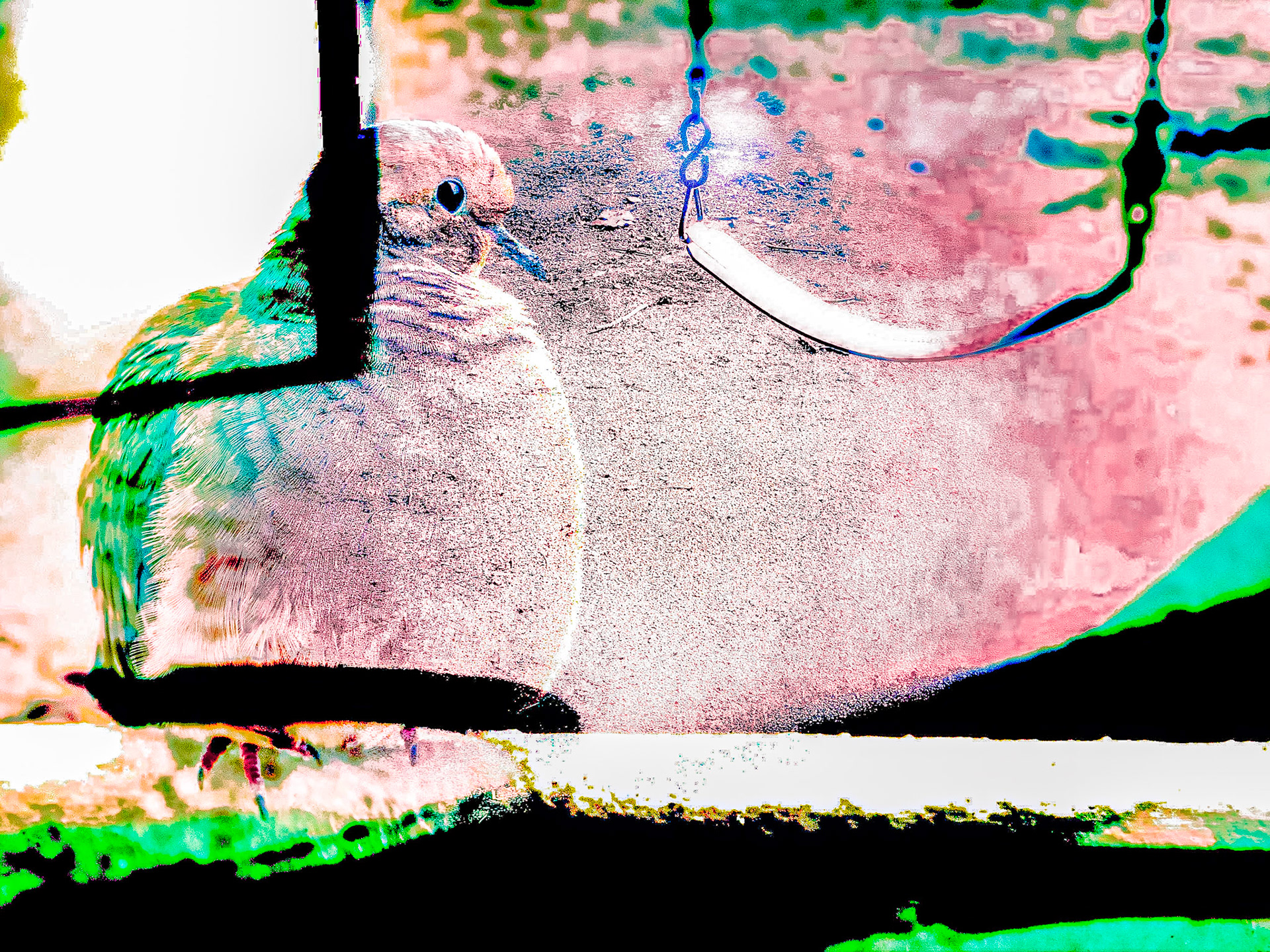 Loneliness