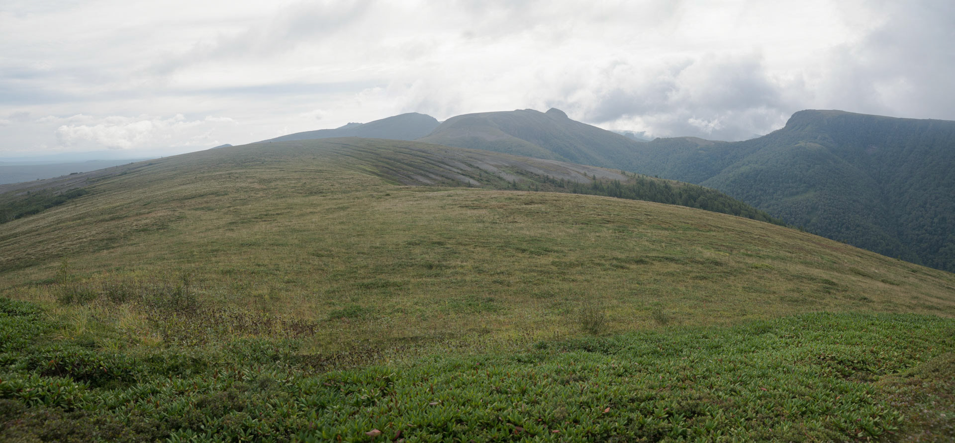 Ganbaek-san 2161m, Samjiyon-gun, Ryanggang-do, DPRK (2018).