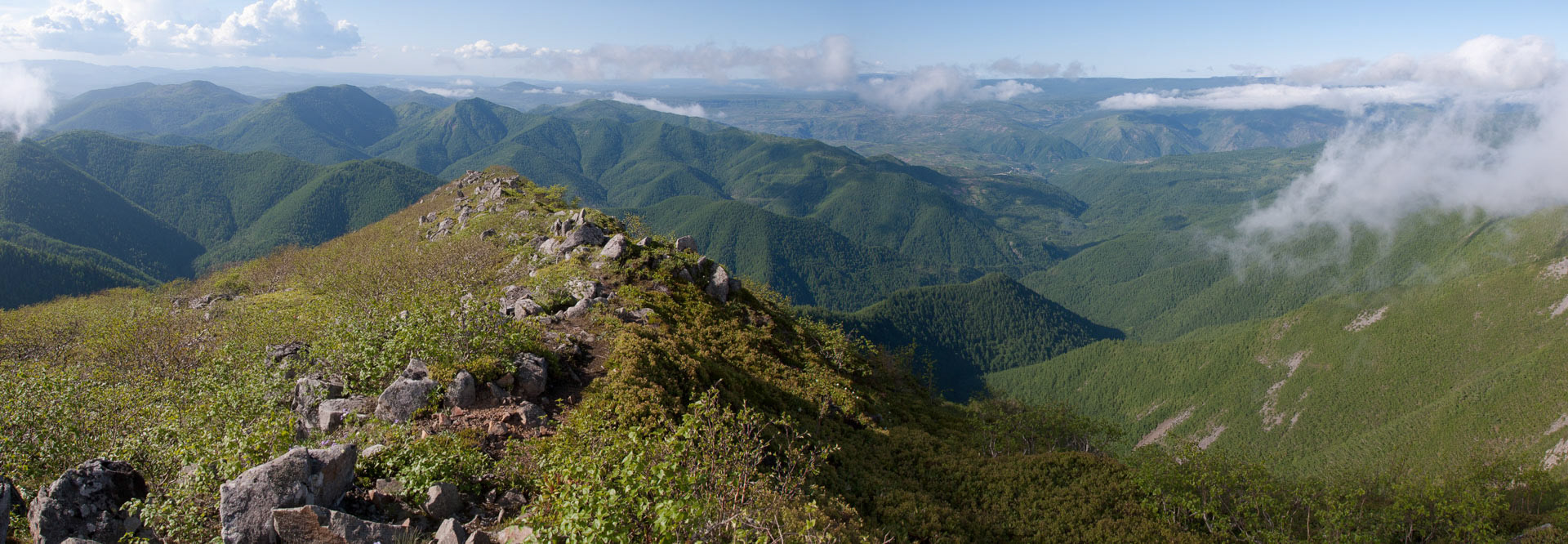 Summit area of Turyu-san 2309m in Paekam-gun, Ryanggang-do, DPRK (2012). 