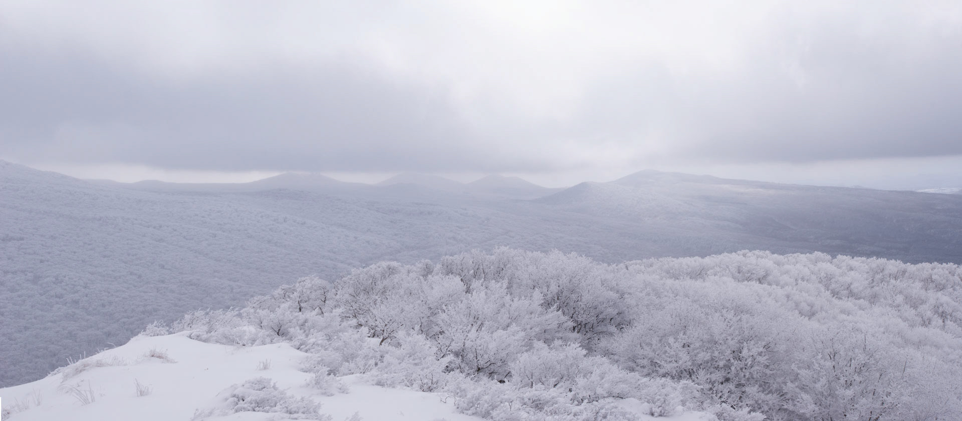 Orimok, Jeju island, RoK (2013). 