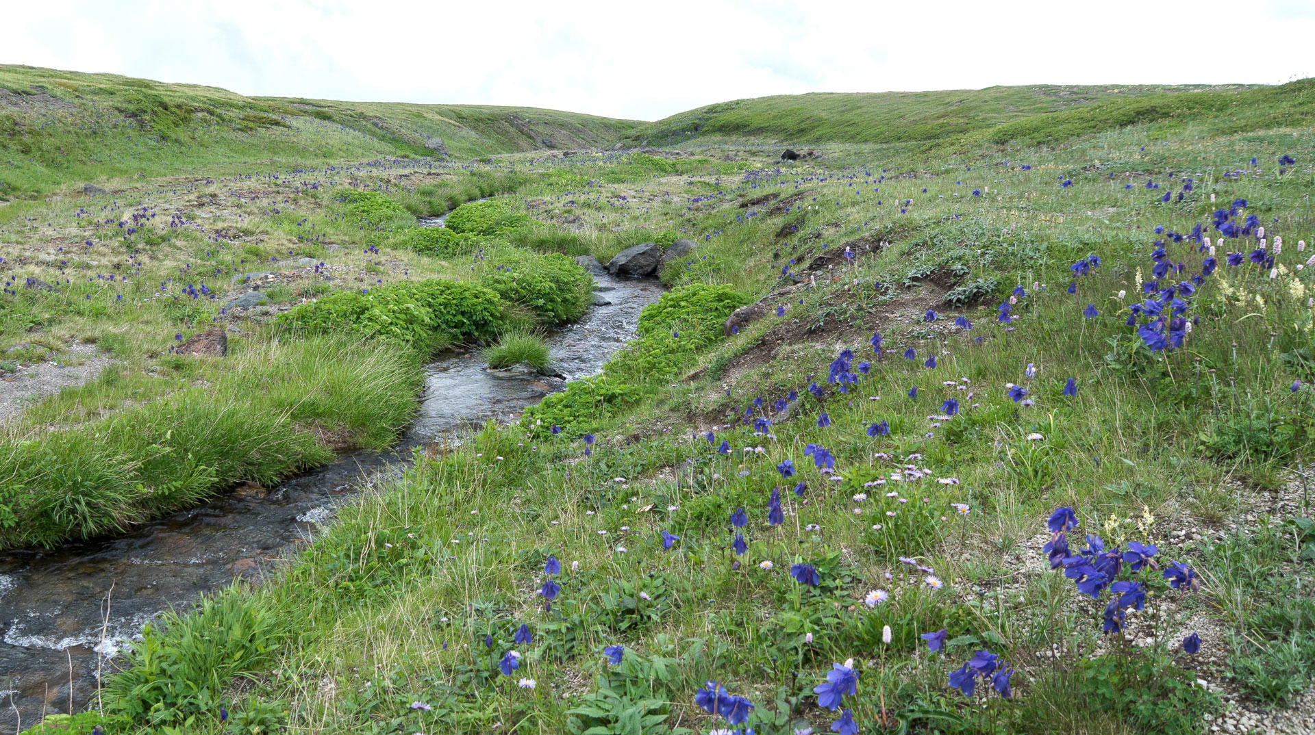 Paektu plateau in summer 2018.
