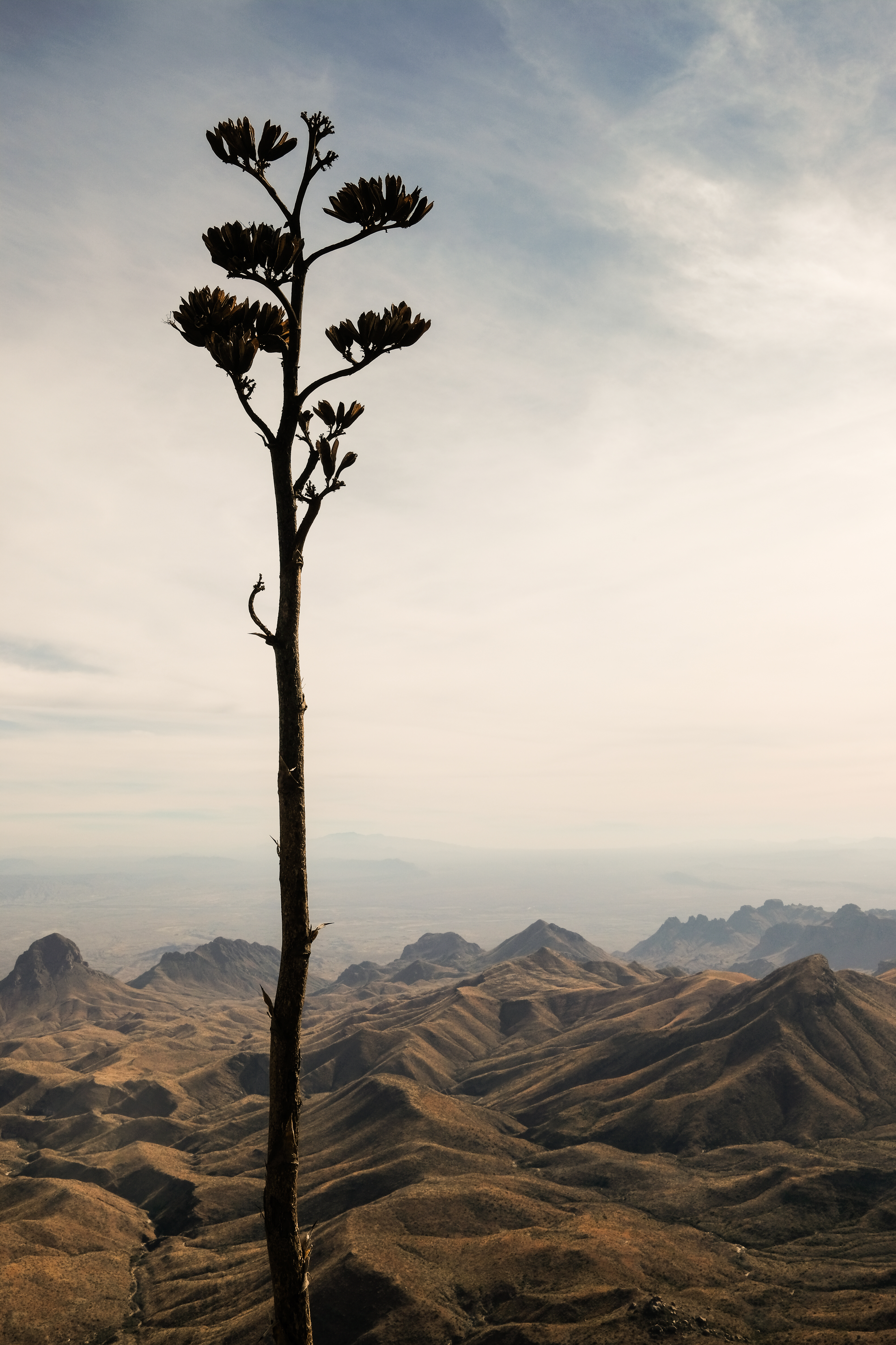 Looking into Mexico from Big Bend.