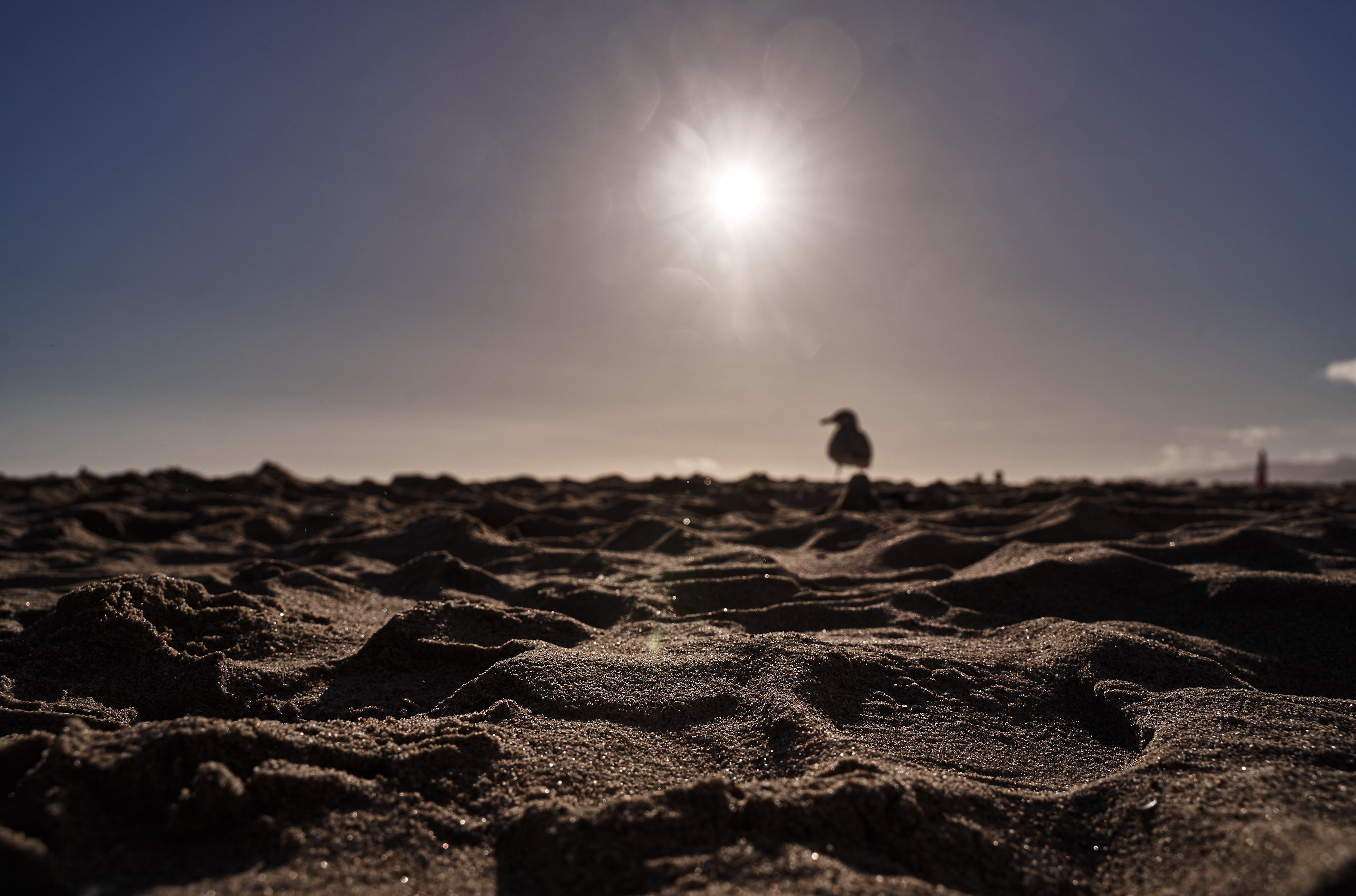 Santa Monica Beach, California