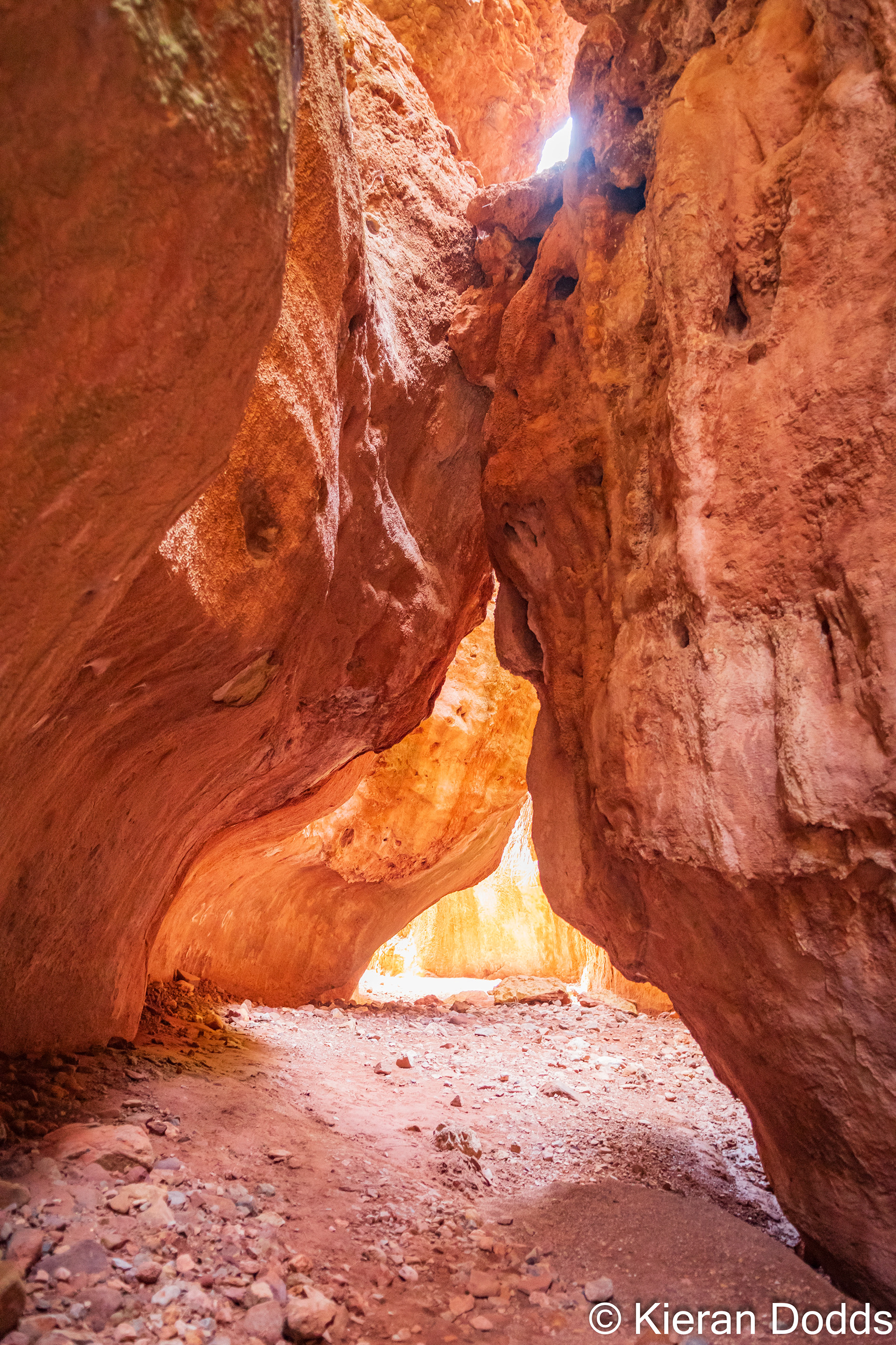 Warm Canyon, Murcia, Spain