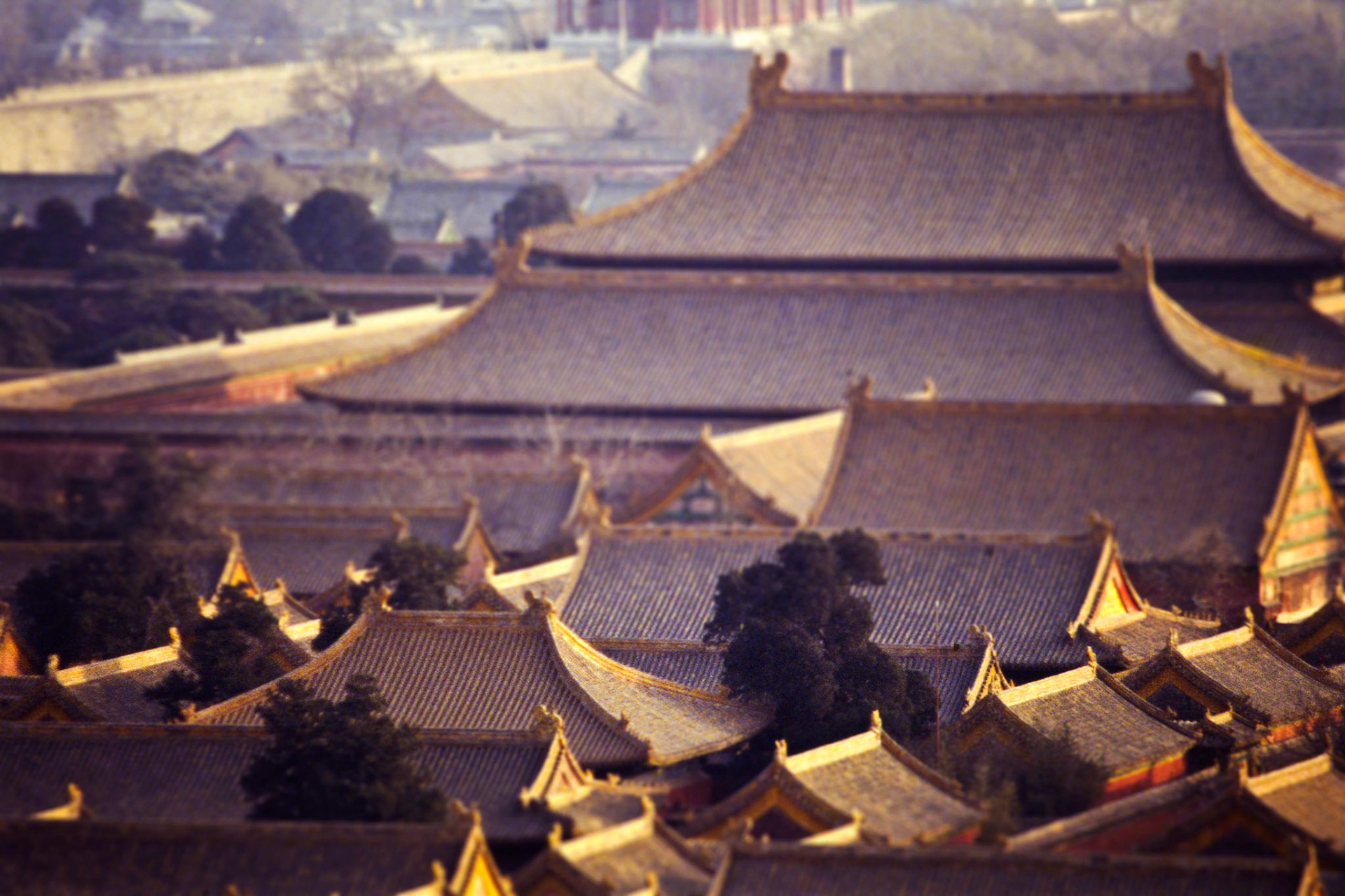 Beijing 1995
