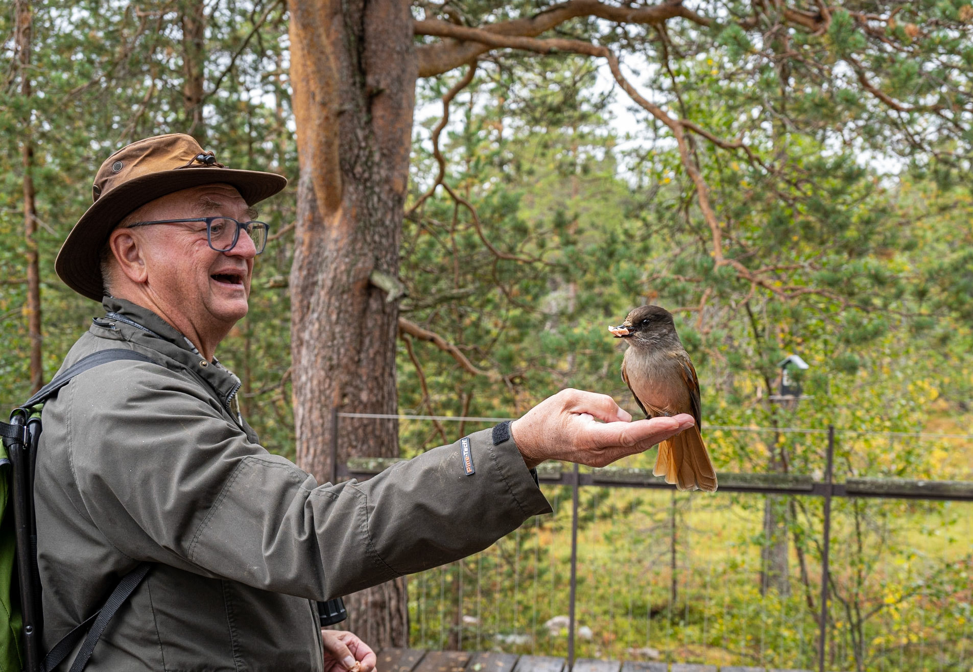My brother Lasse, a bird watching enthusiast, gets a close look at a Siberian Jay (lavskrika)