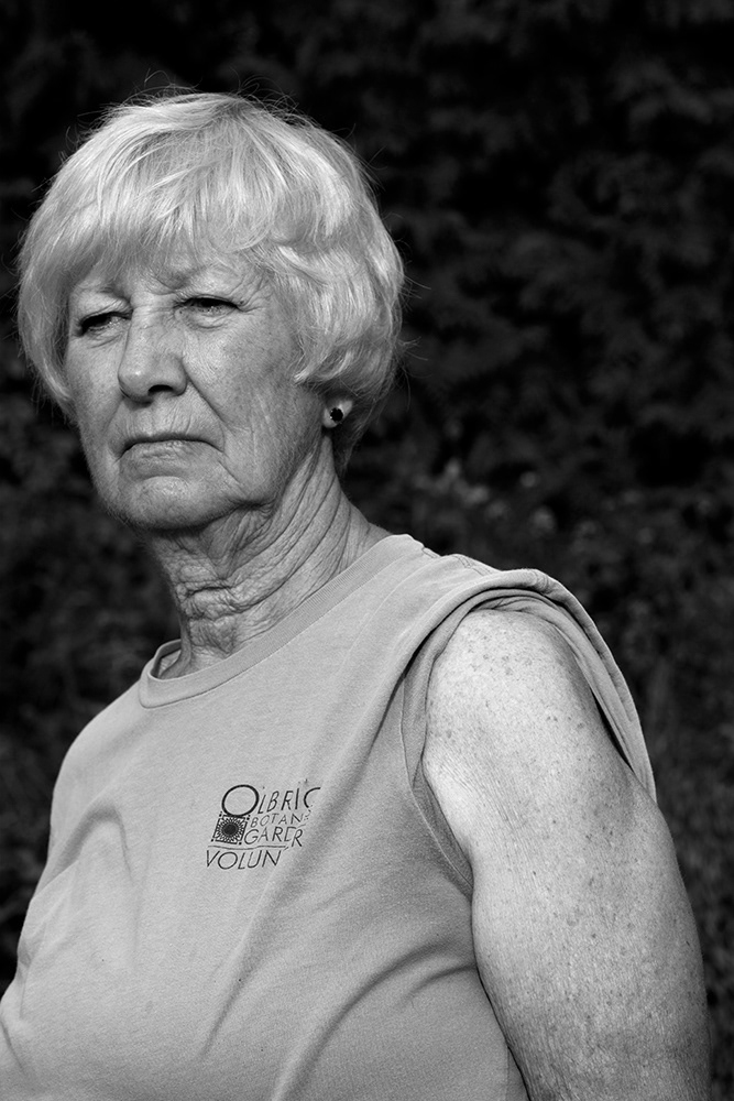 Laurie - Shoulder