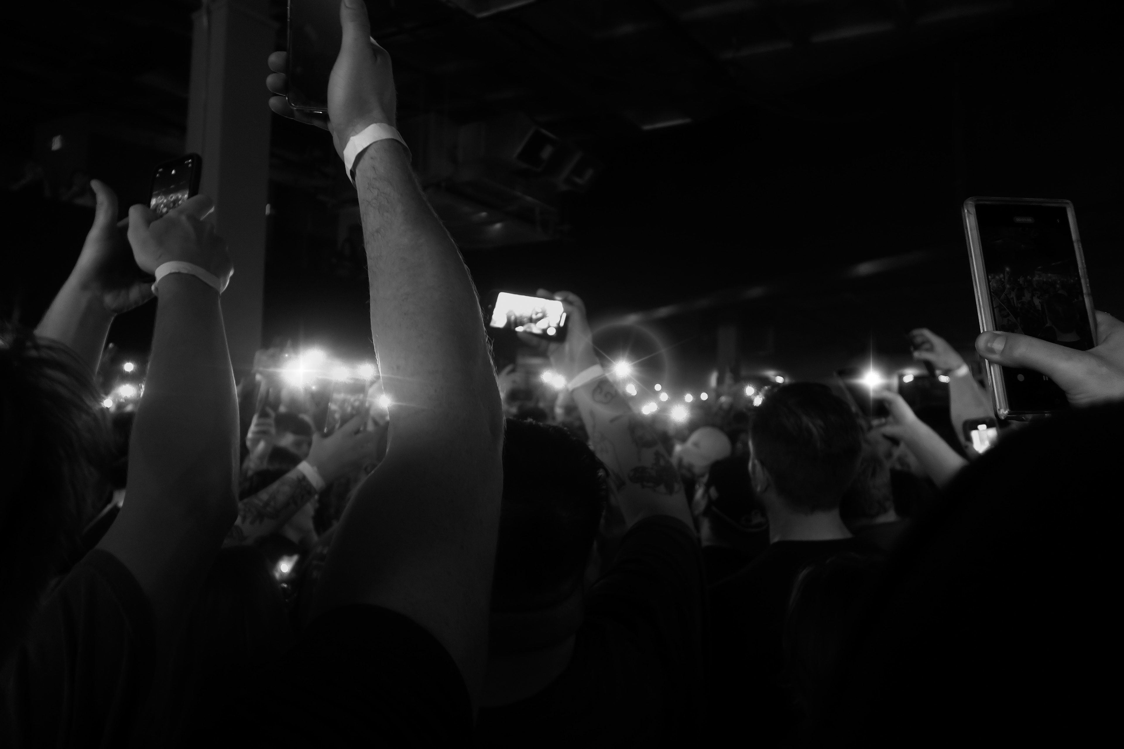 Crowd Shot During Real Friends