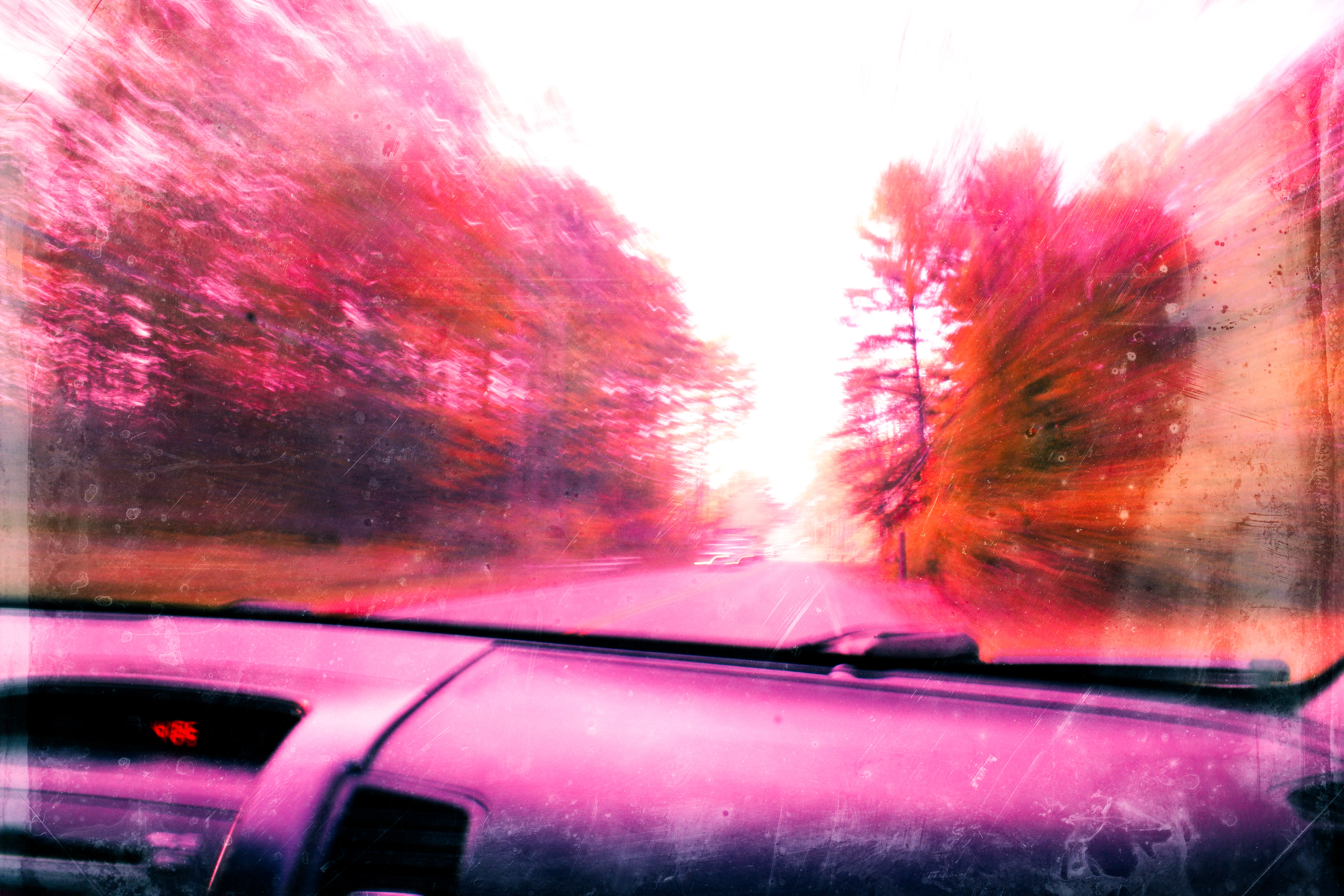 Panning - 2019