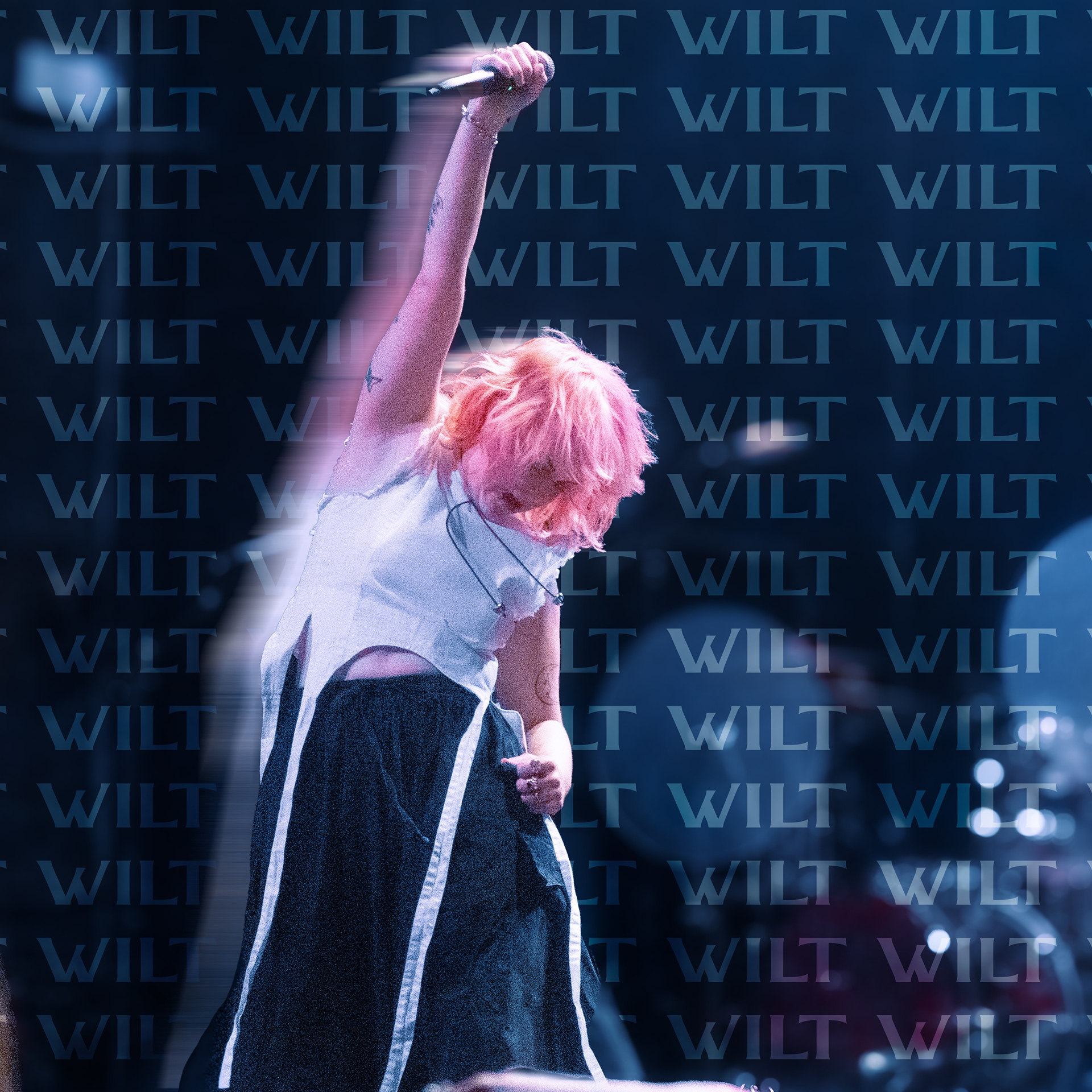 Chelsea Rifkin of Wilt