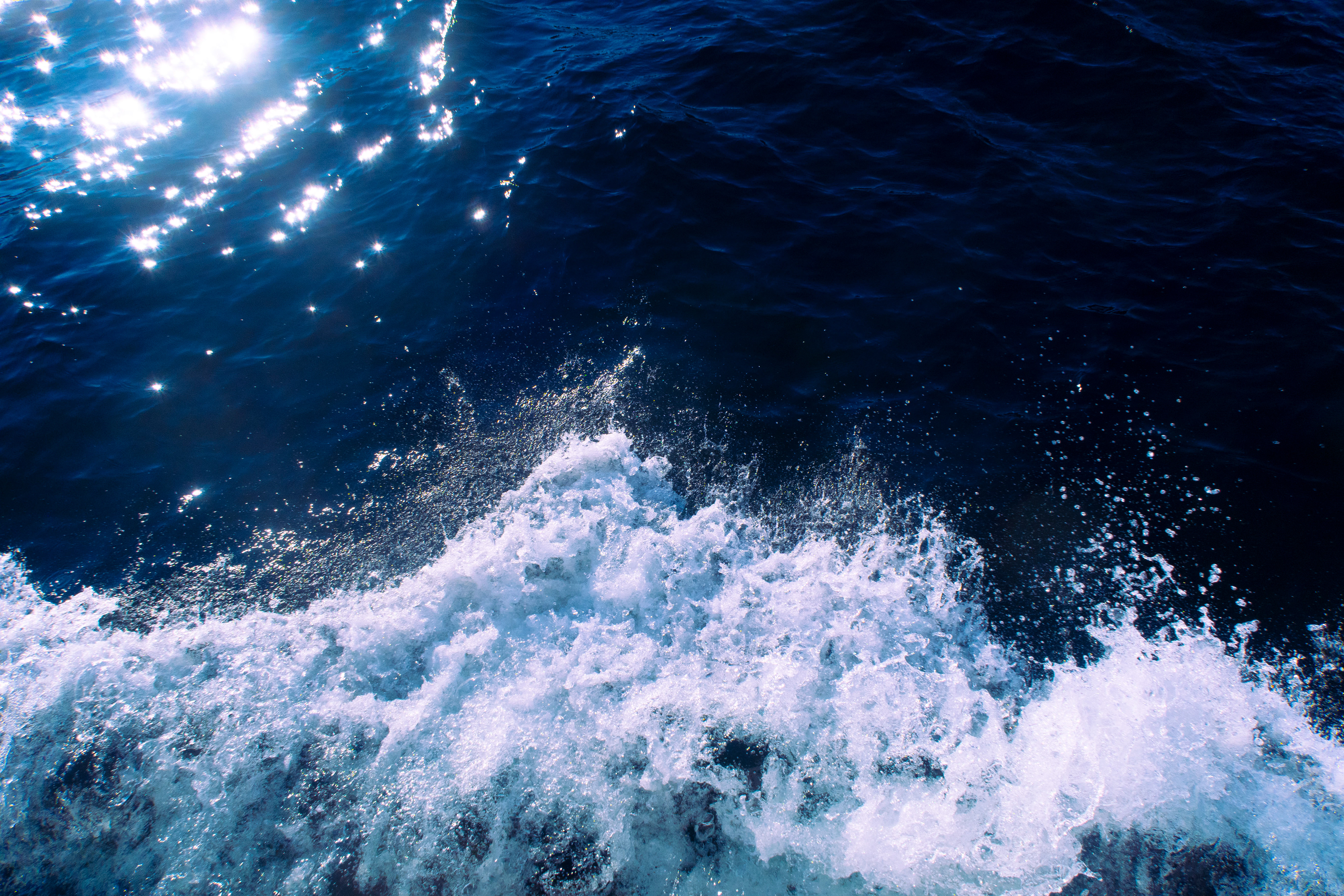 From the Lower ADK Pride Cruise - Lake George NY, 2025