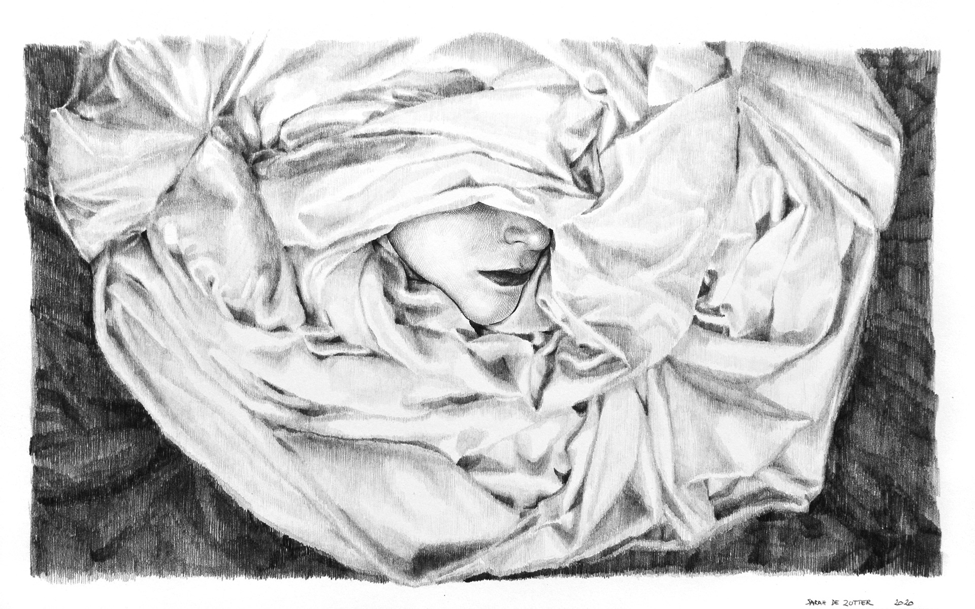 Nesting - pencil on paper- 40 cm x 24,5 cm - 2020