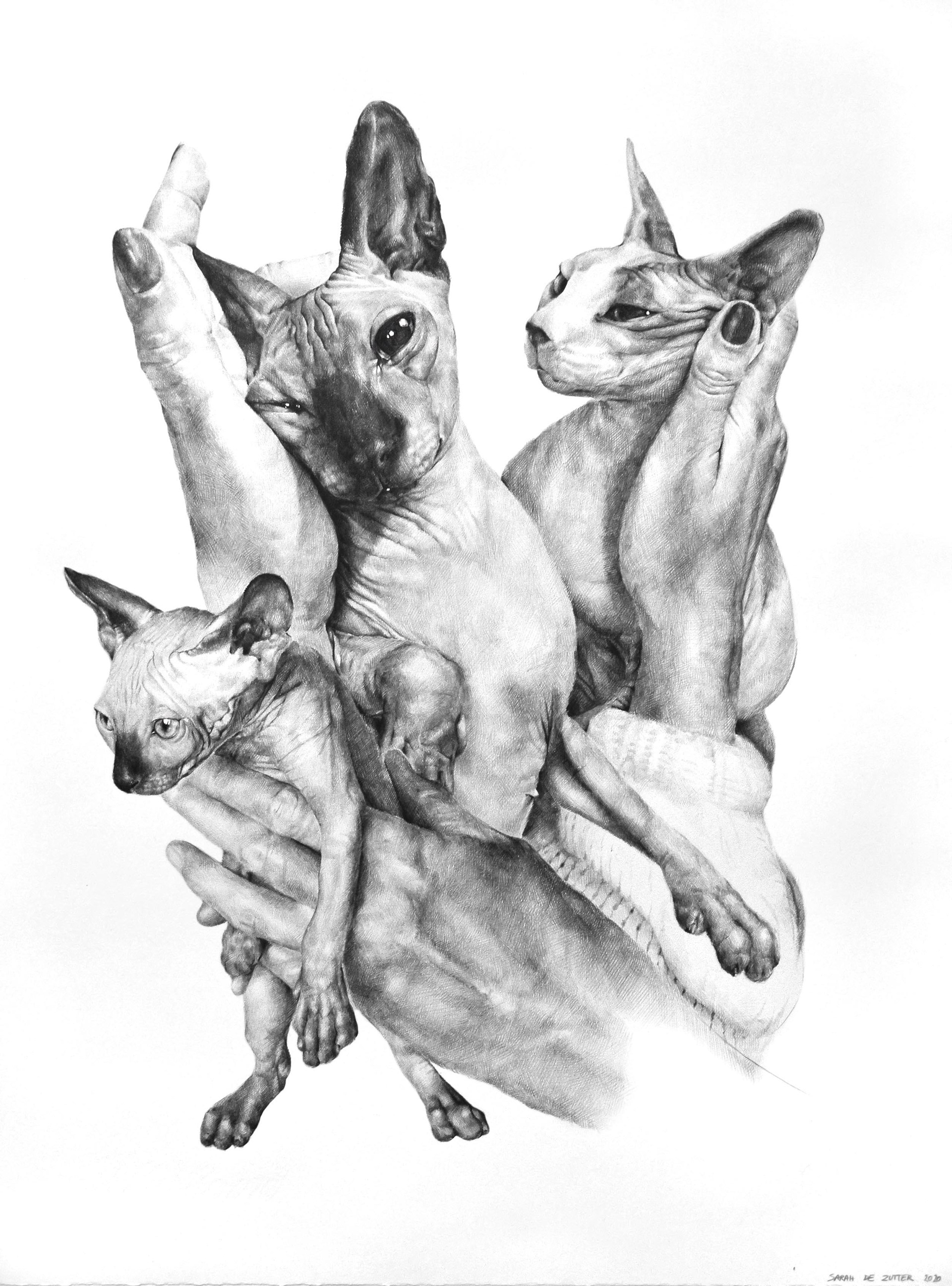 Sphynxes - pencil on paper - 48 cm x 64 cm - 2020