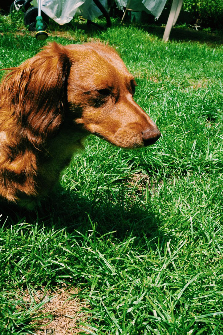 Processed with VSCO with c1pro preset