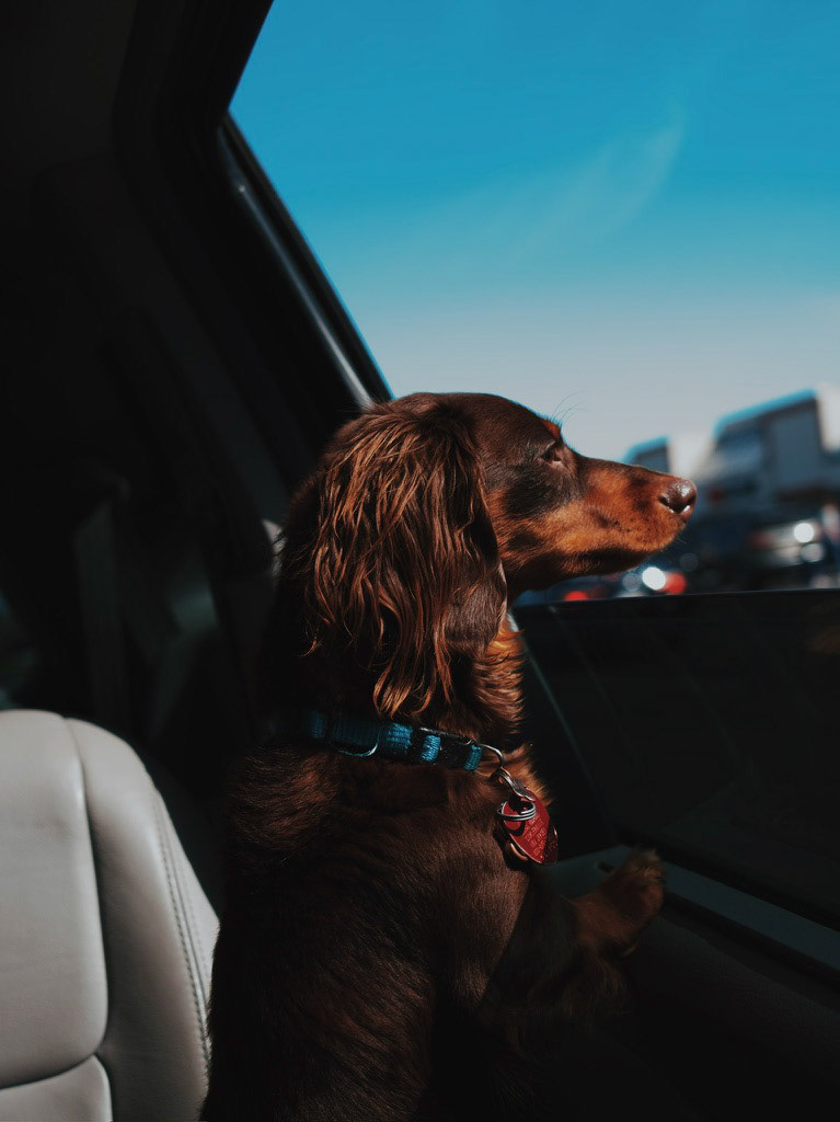 Processed with VSCO with c8pro preset