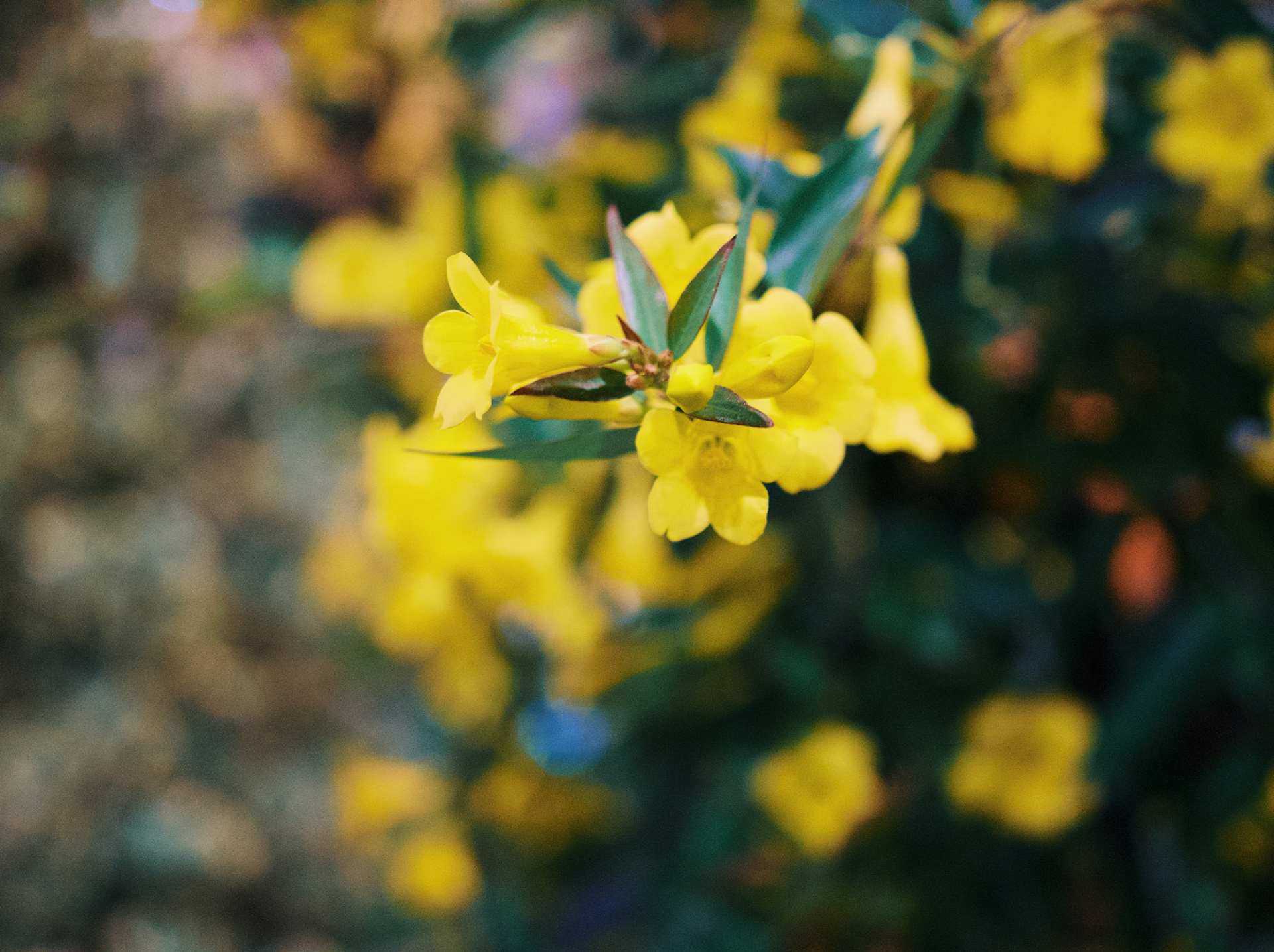 Processed with VSCO with g6pro preset