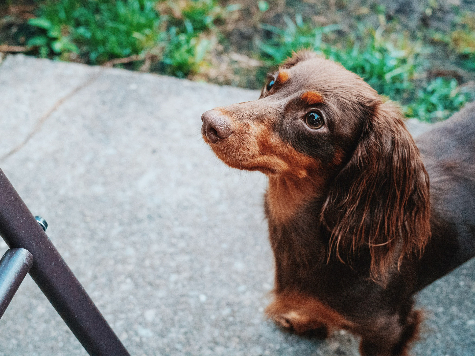 Processed with VSCO with c8pro preset