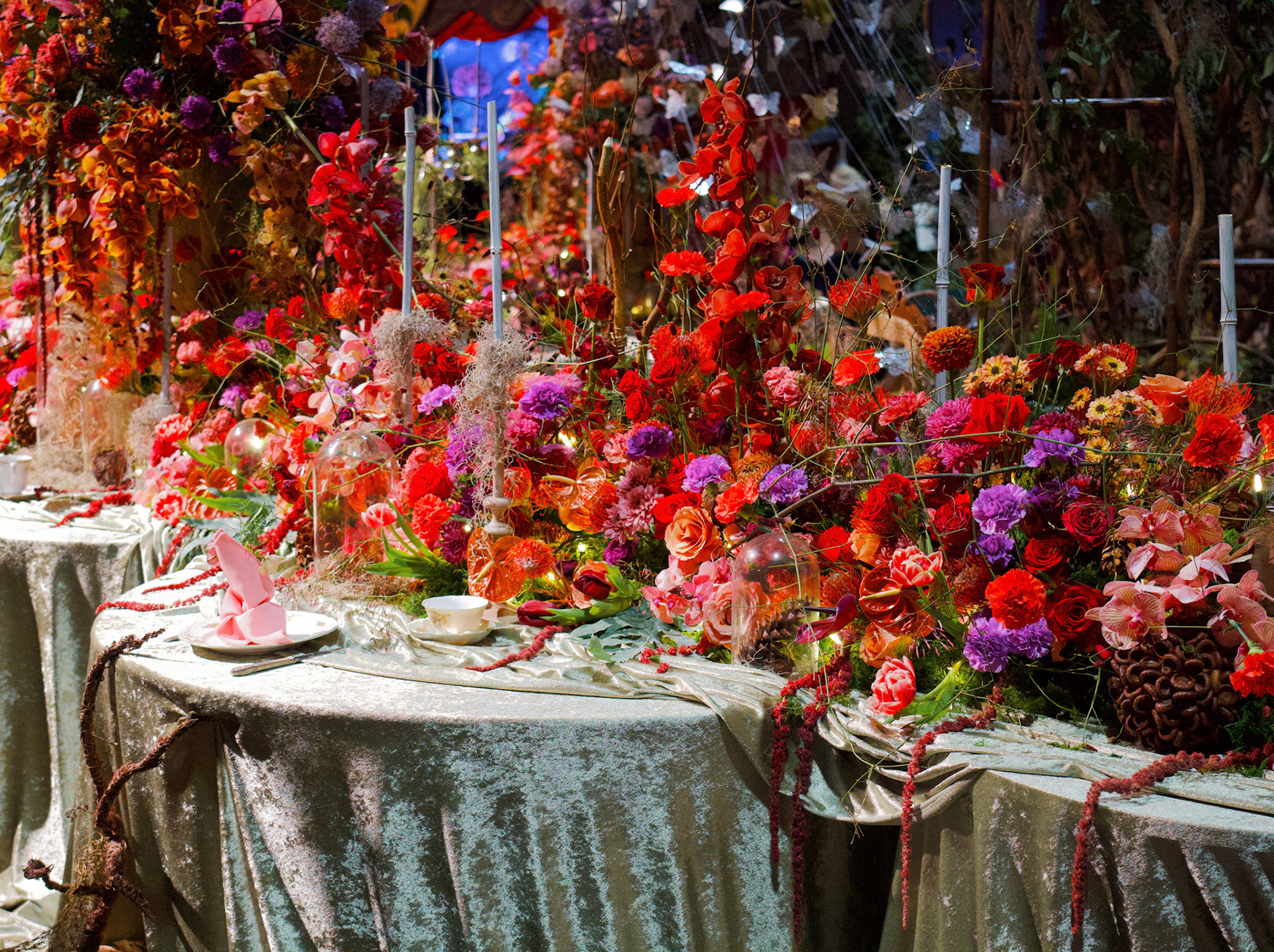 Processed with VSCO with we4pro preset