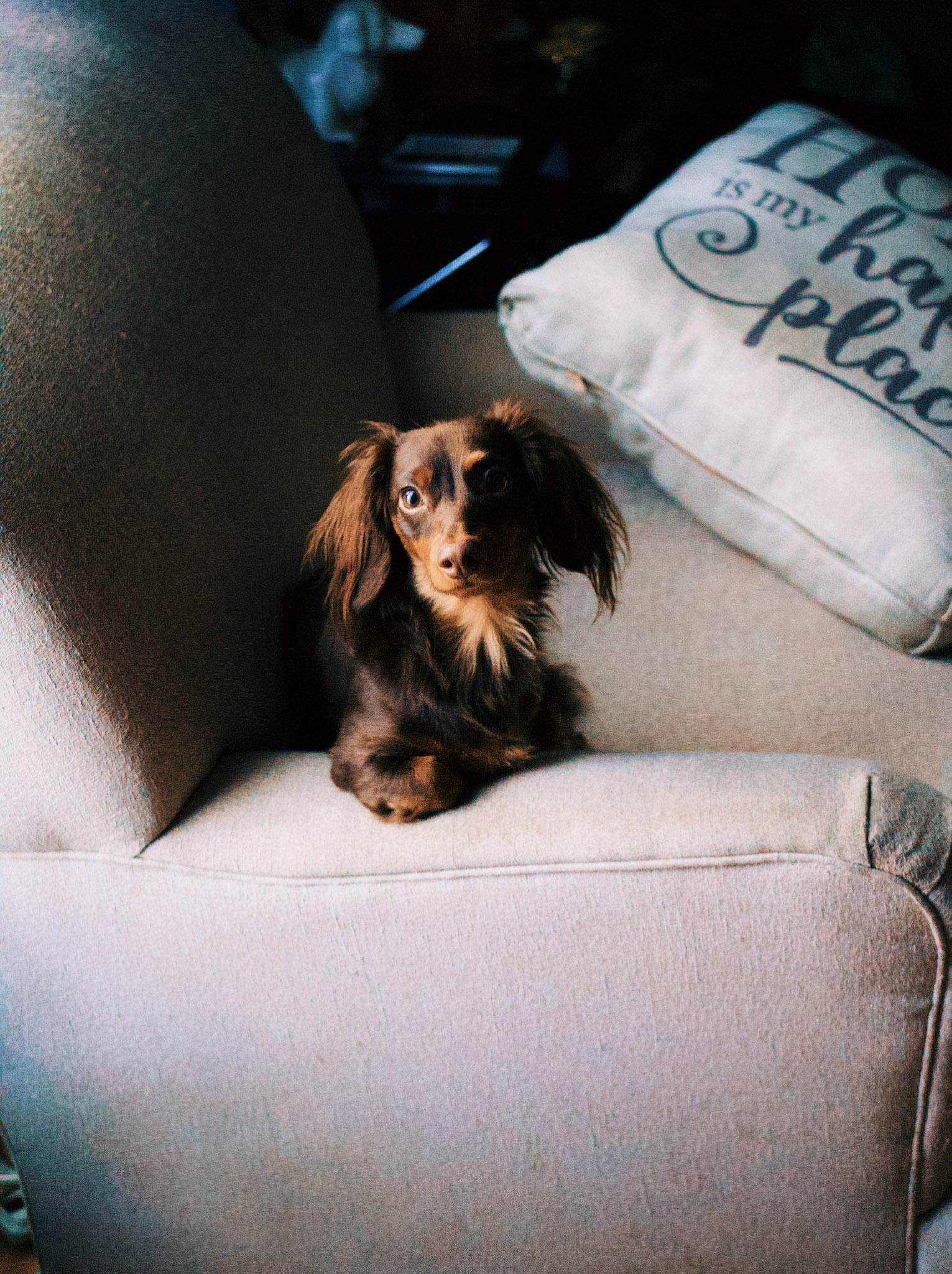 Processed with VSCO with g6pro preset