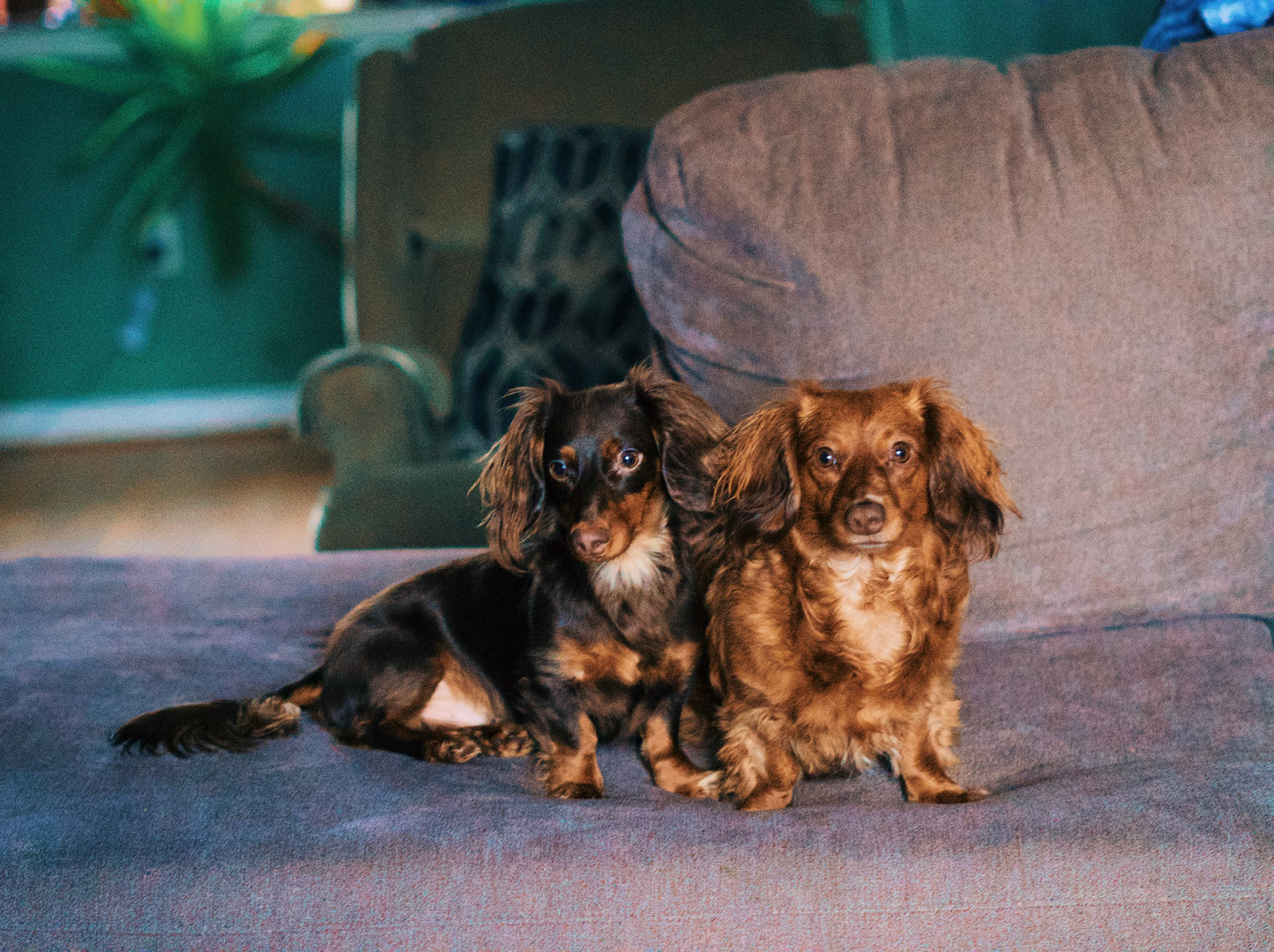 Processed with VSCO with g6pro preset