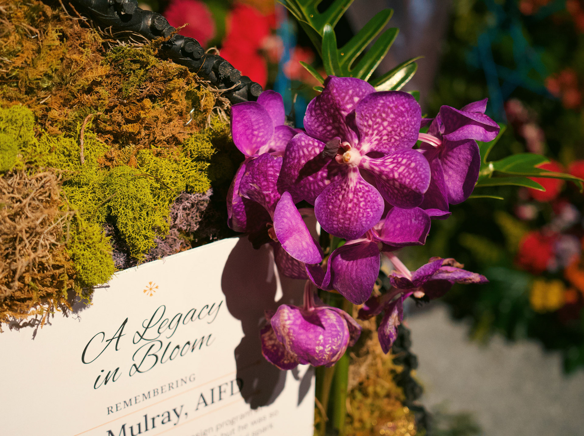 Processed with VSCO with we11pro preset