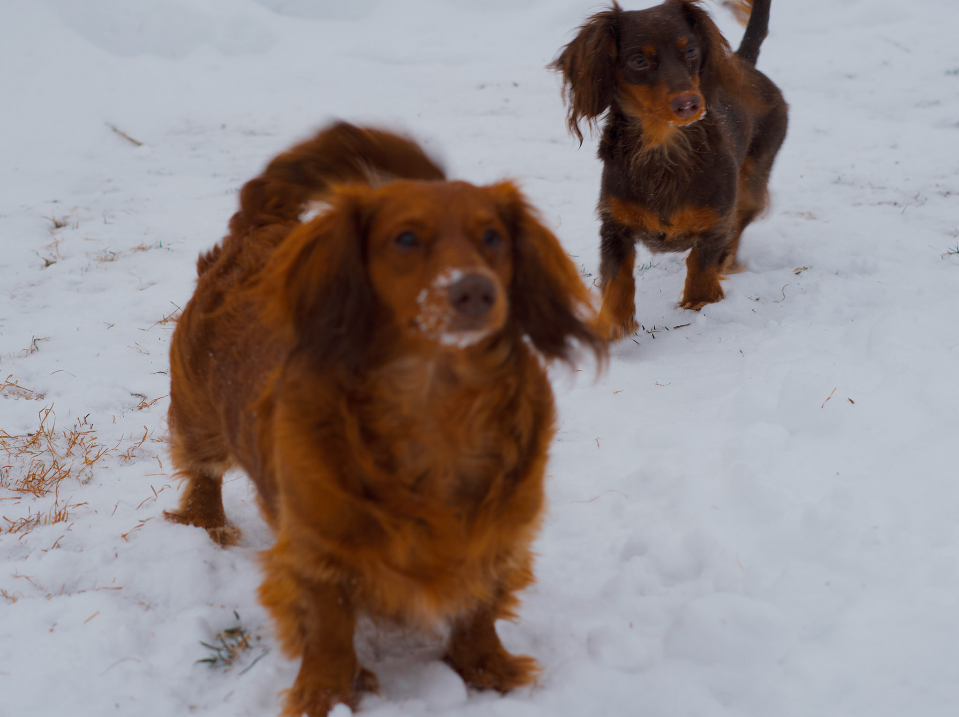 Processed with VSCO with we4pro preset