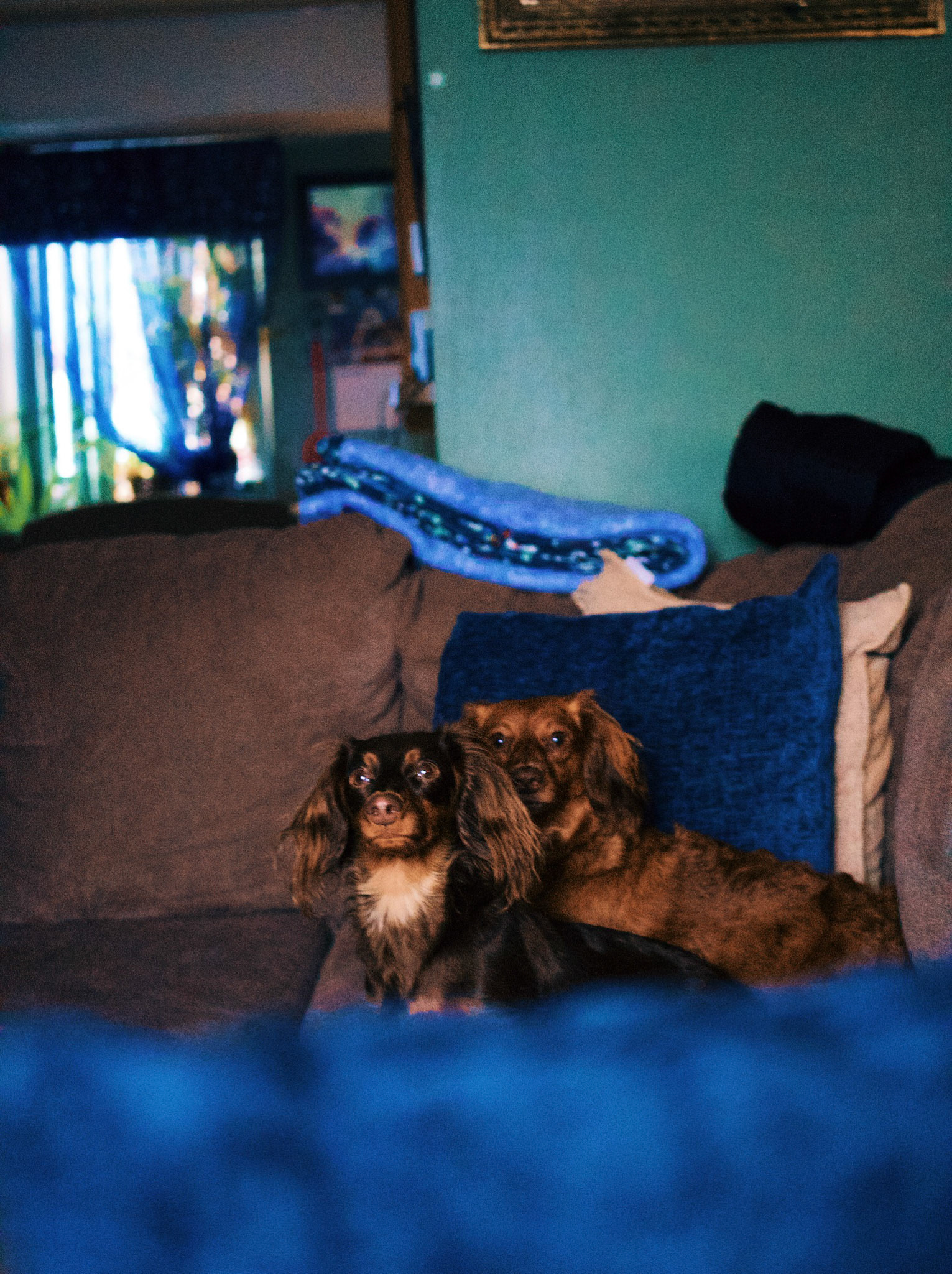 Processed with VSCO with g6pro preset