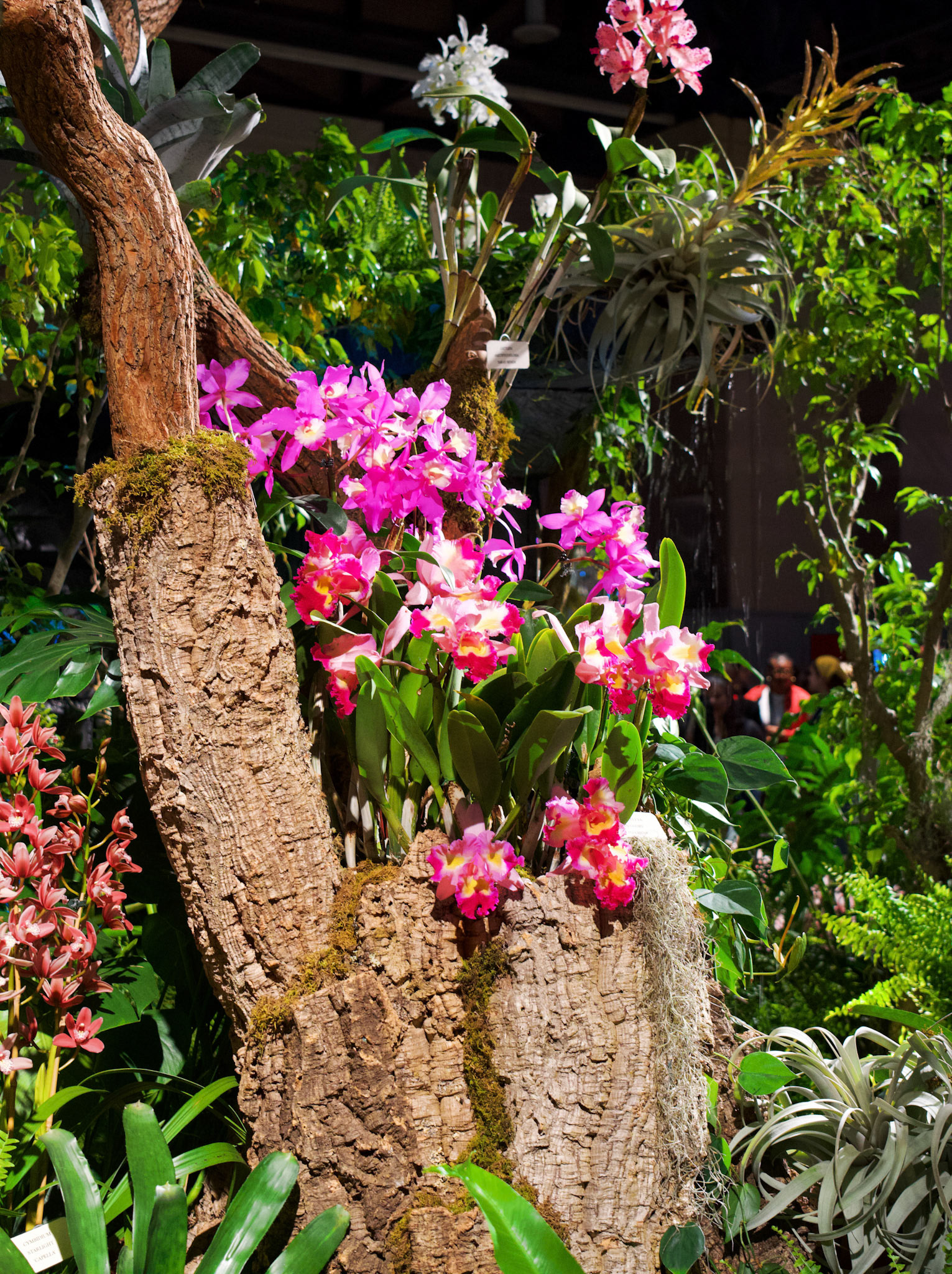 Processed with VSCO with ss1pro preset