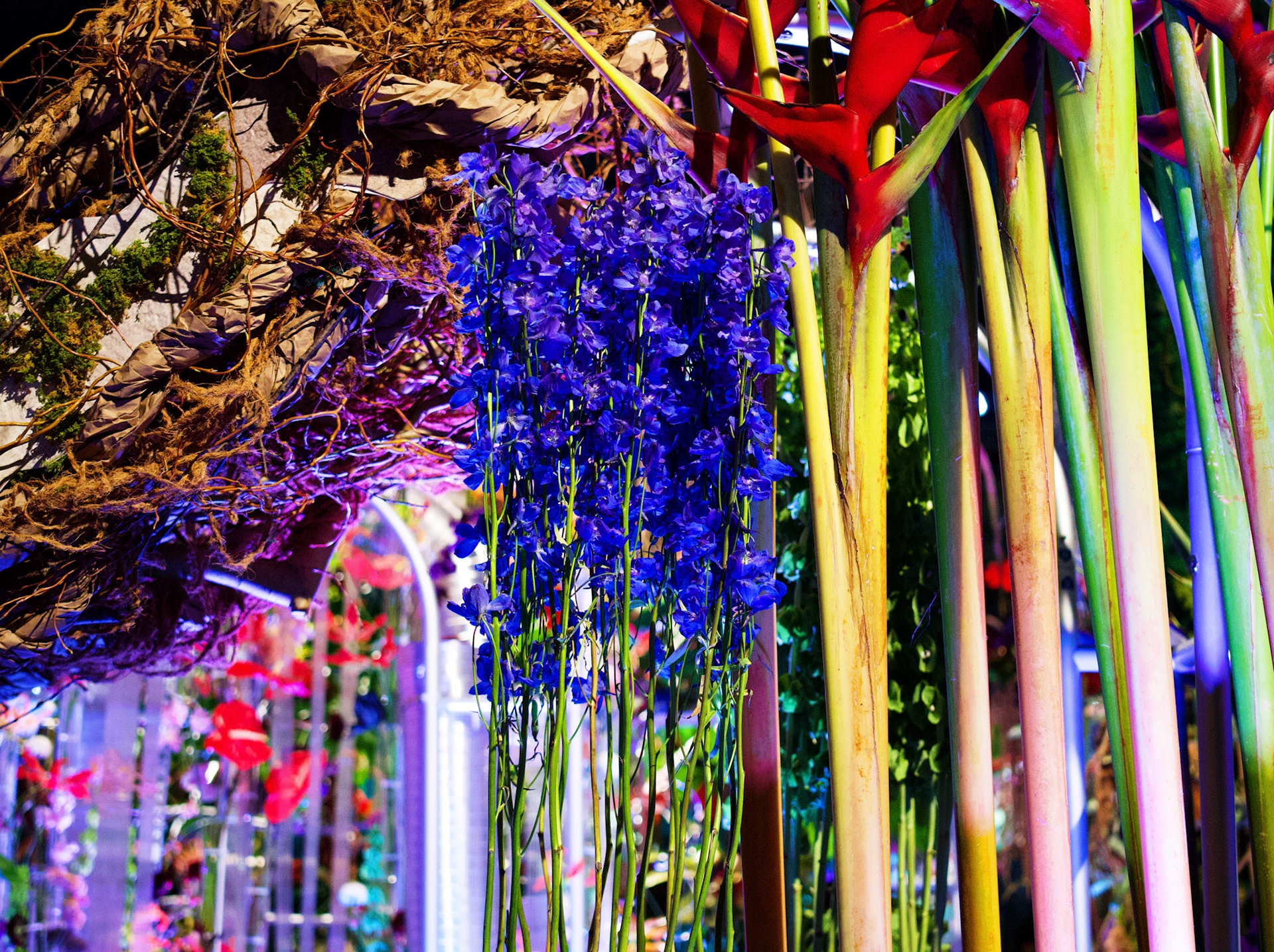 Processed with VSCO with s3 preset