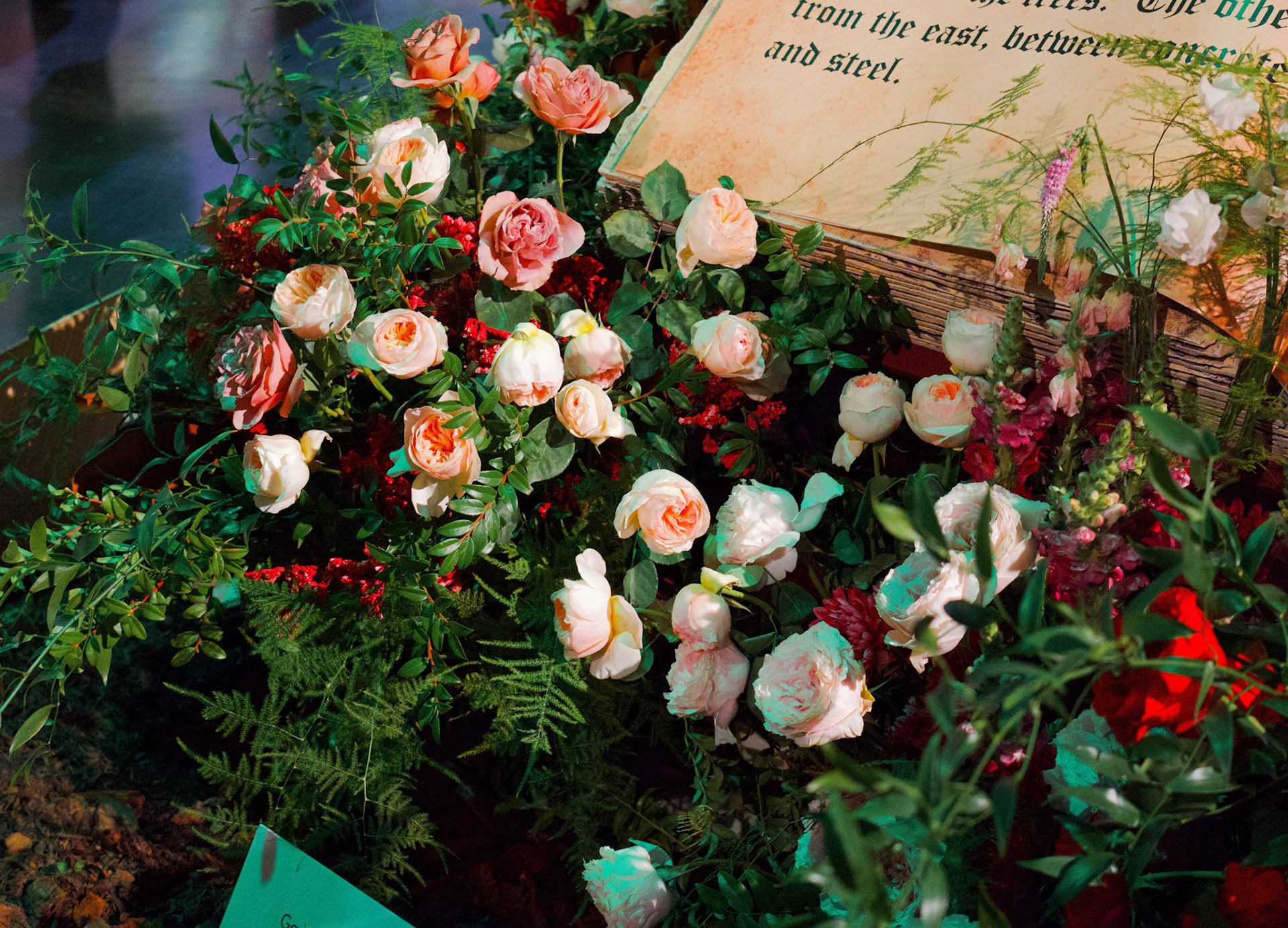 Processed with VSCO with we4pro preset