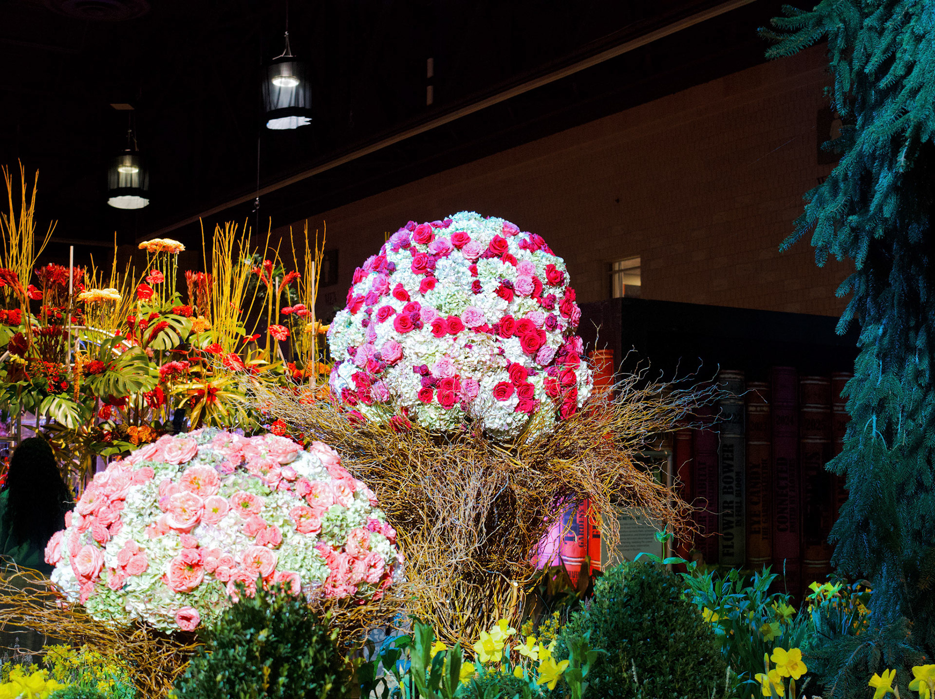 Processed with VSCO with we4pro preset