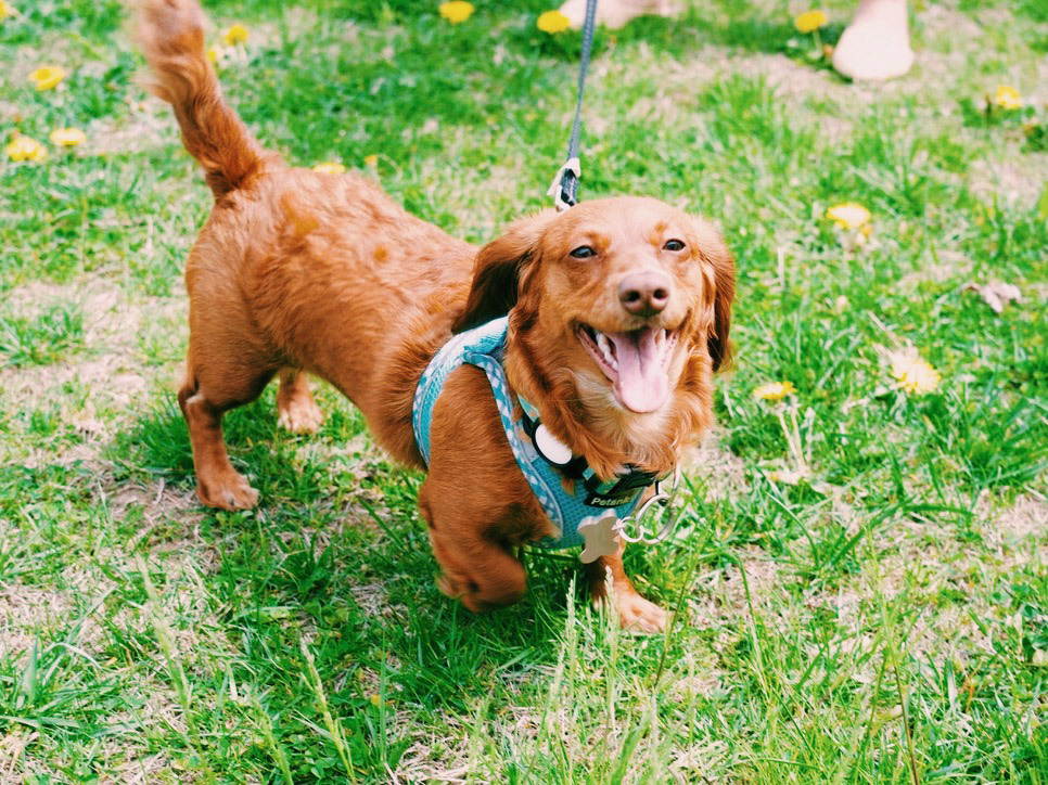 Processed with VSCO with c1pro preset