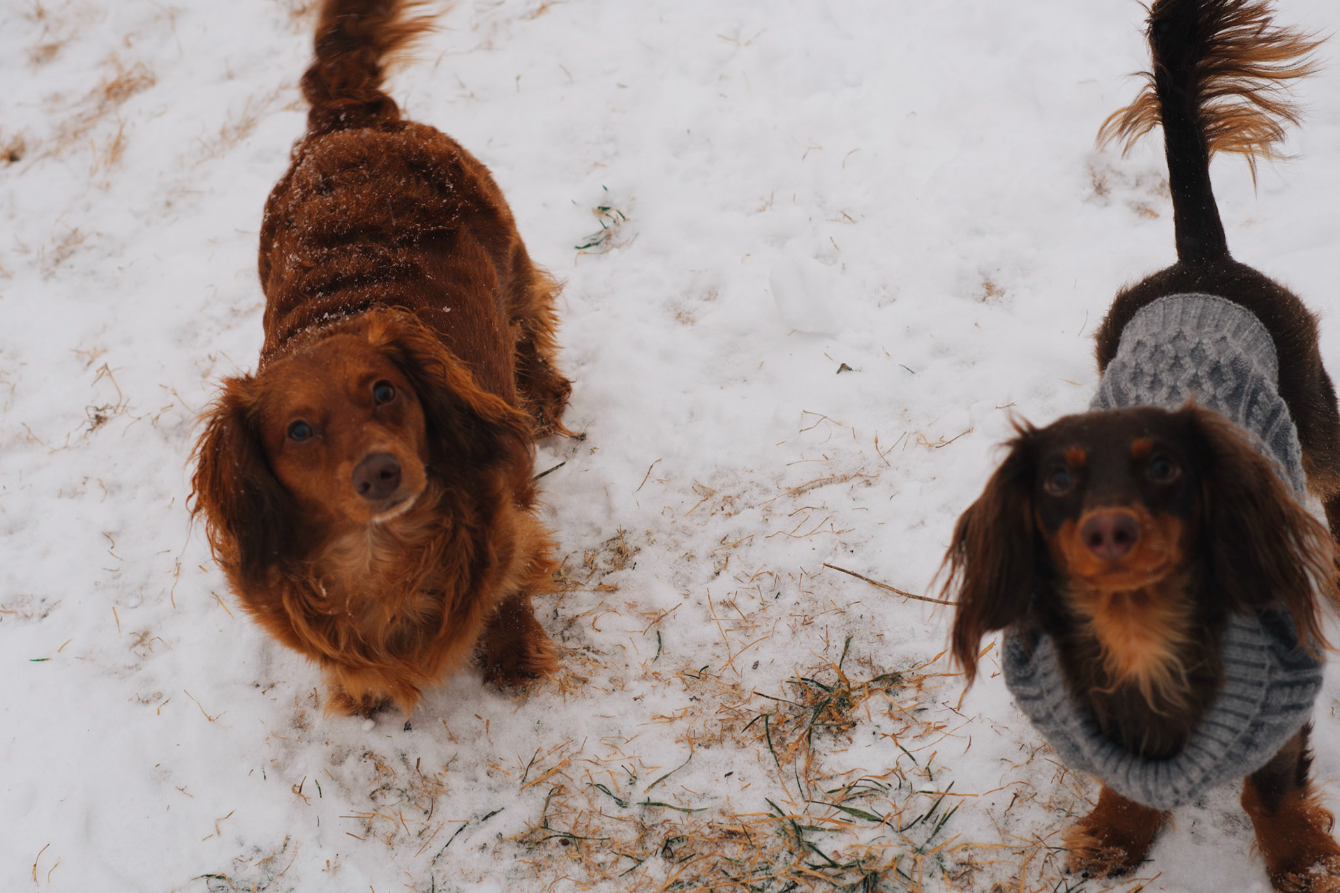 Processed with VSCO with we6pro preset