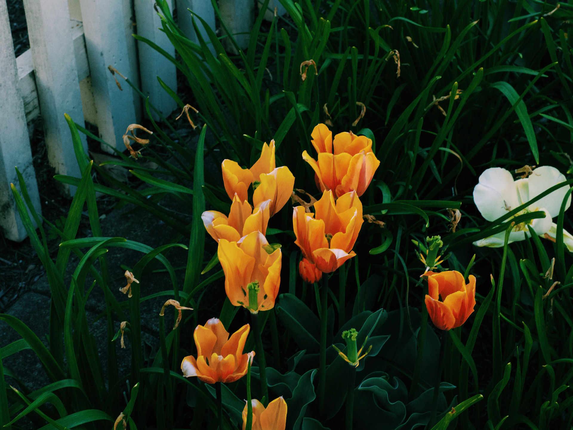 Processed with VSCO with c1pro preset