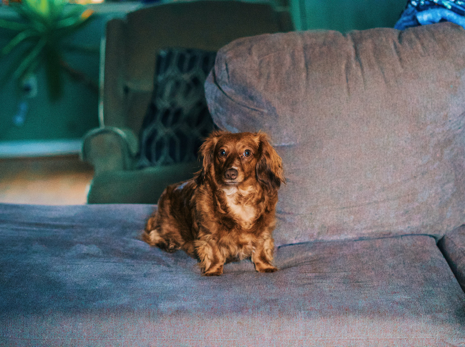 Processed with VSCO with g6pro preset