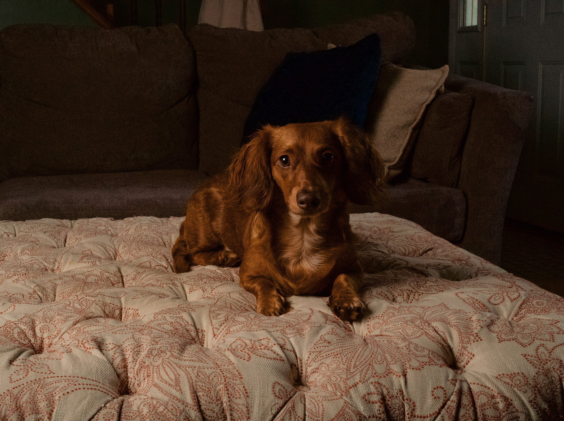 Processed with VSCO with al3pro preset