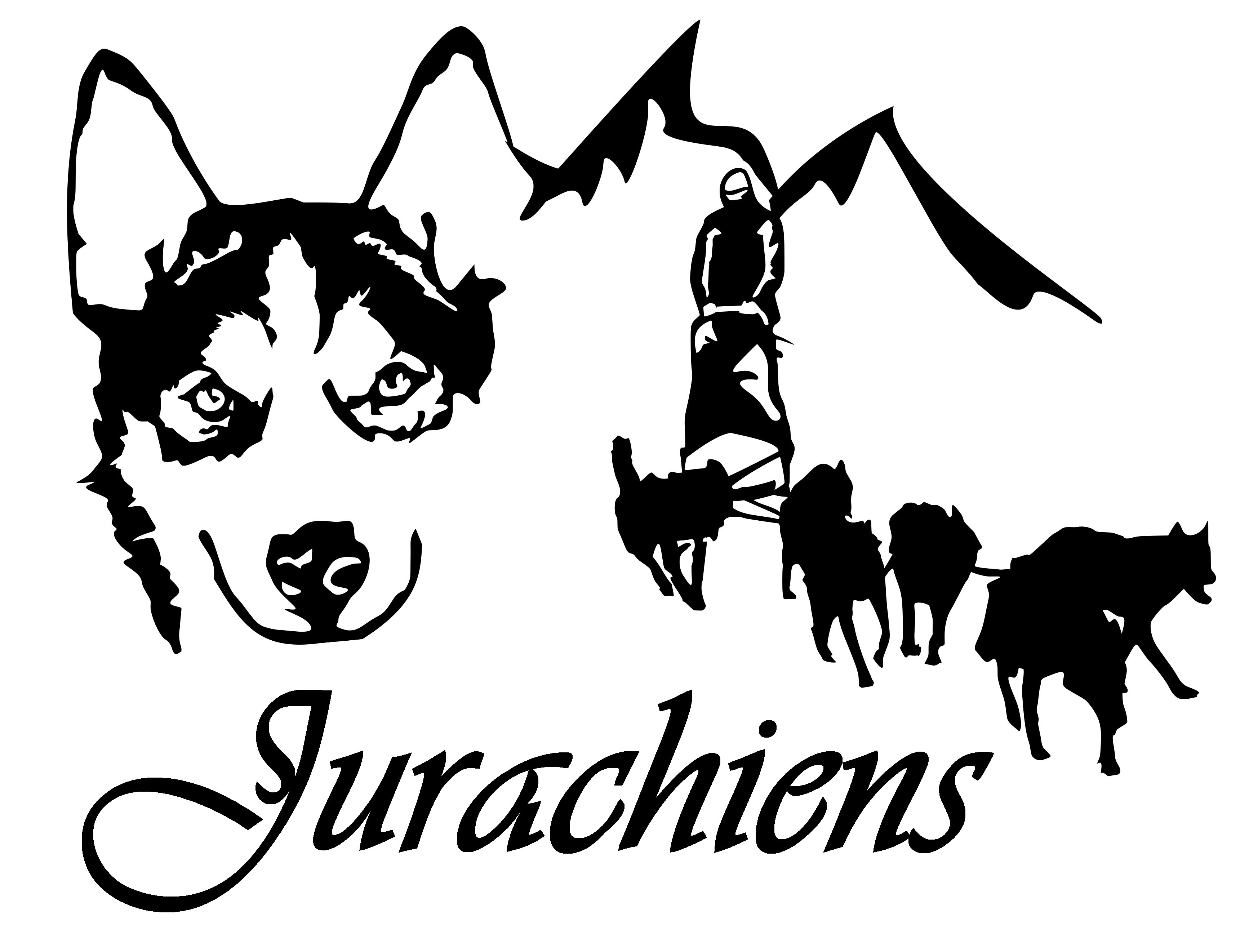 jurachiens-r-servations