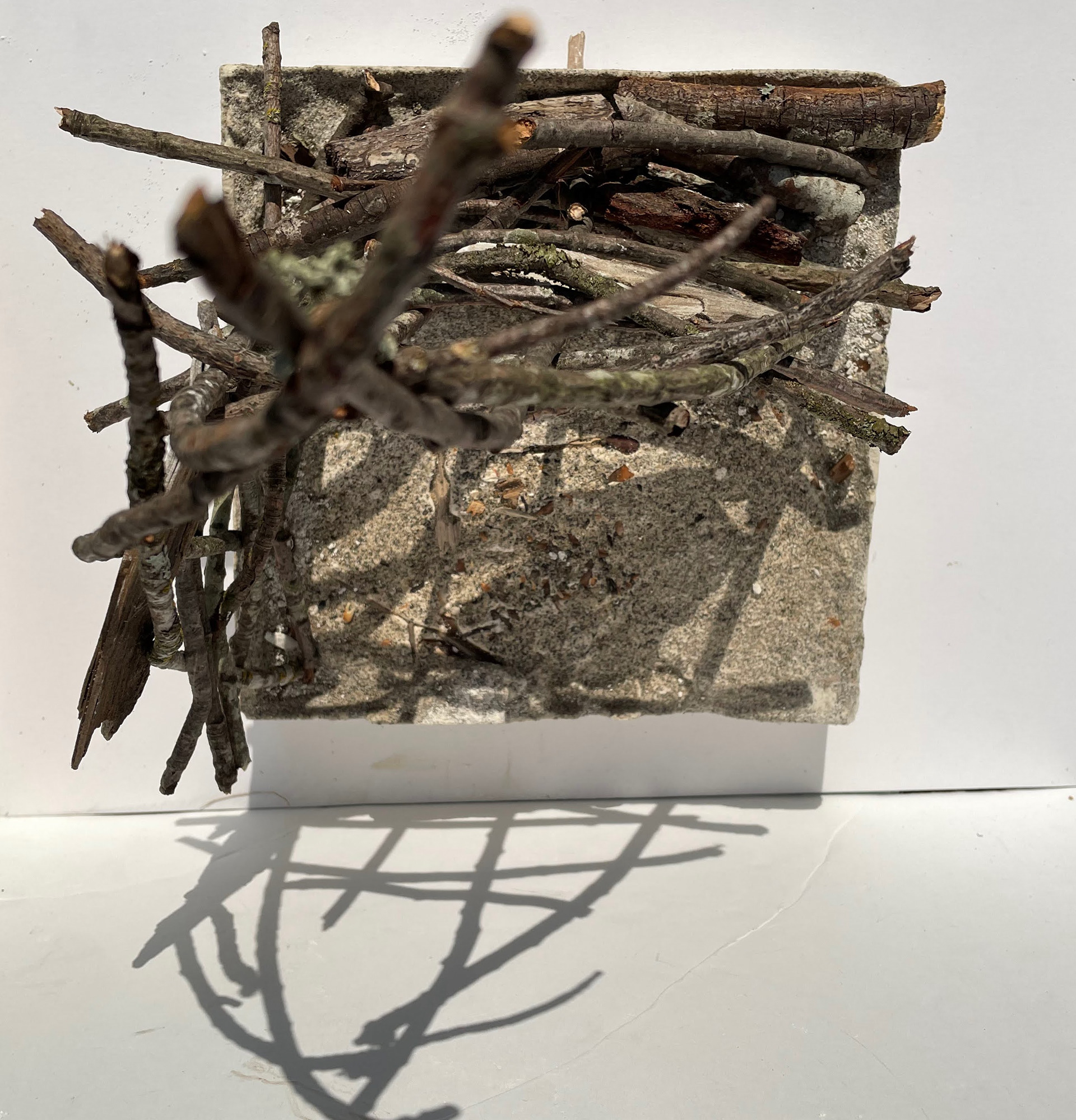 Cast of beach with constructed shelter (Plaster and sticks)