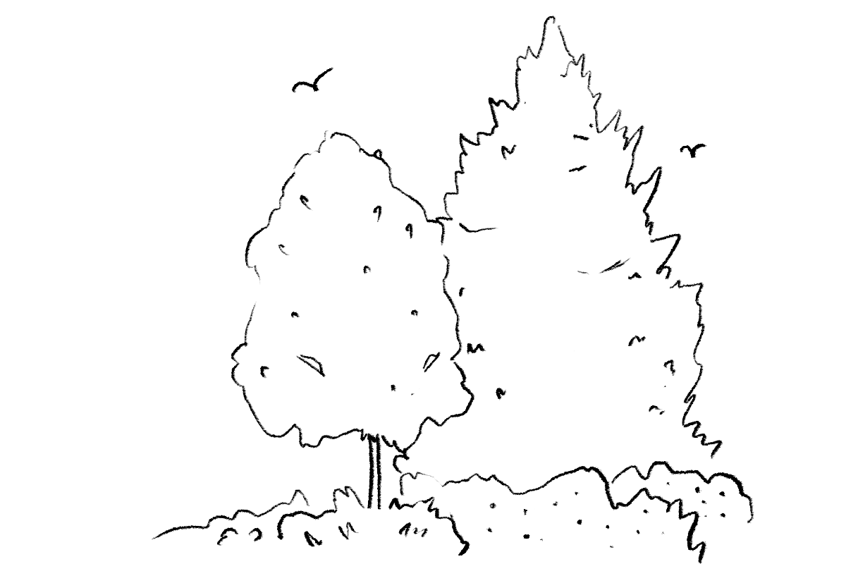 Bird habitat