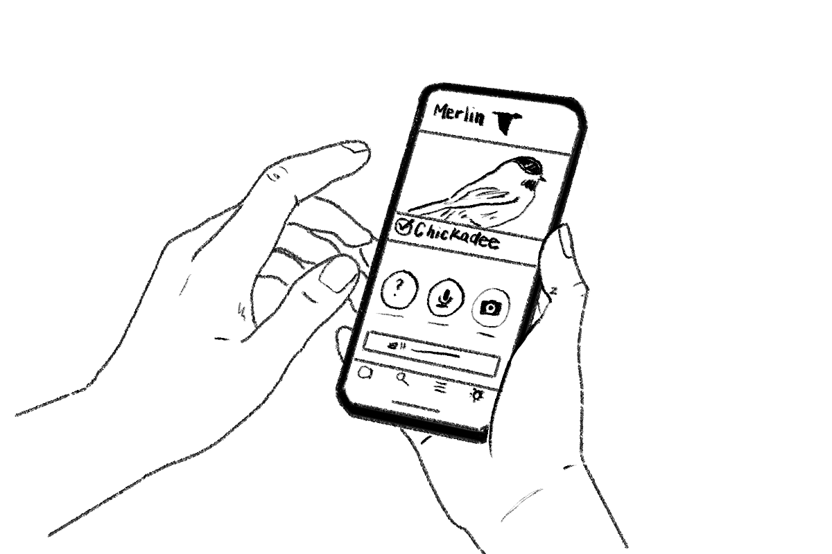 Merlin App