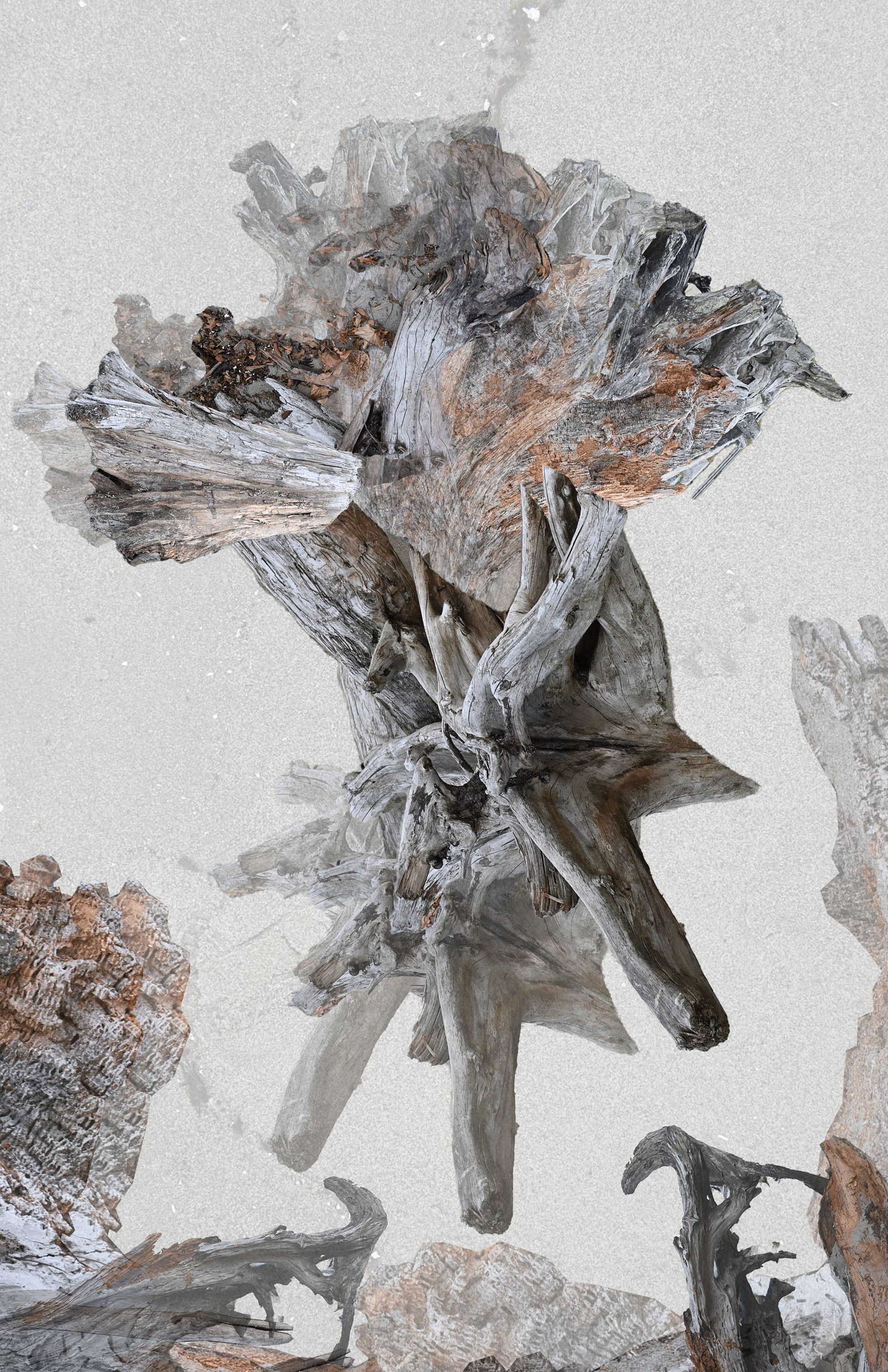 Ideogram of driftwood