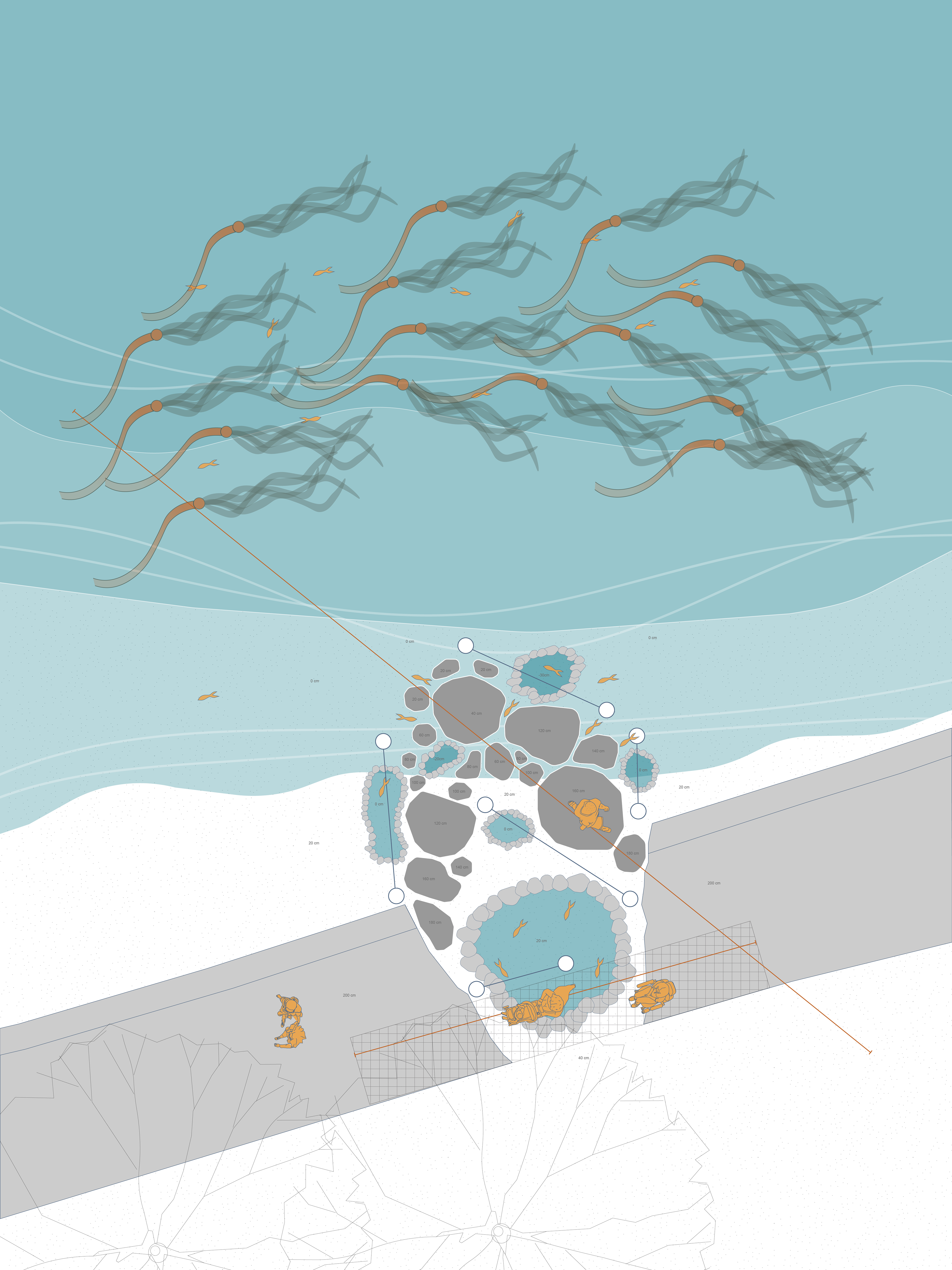 Site Intervention Plan (Illustrator)