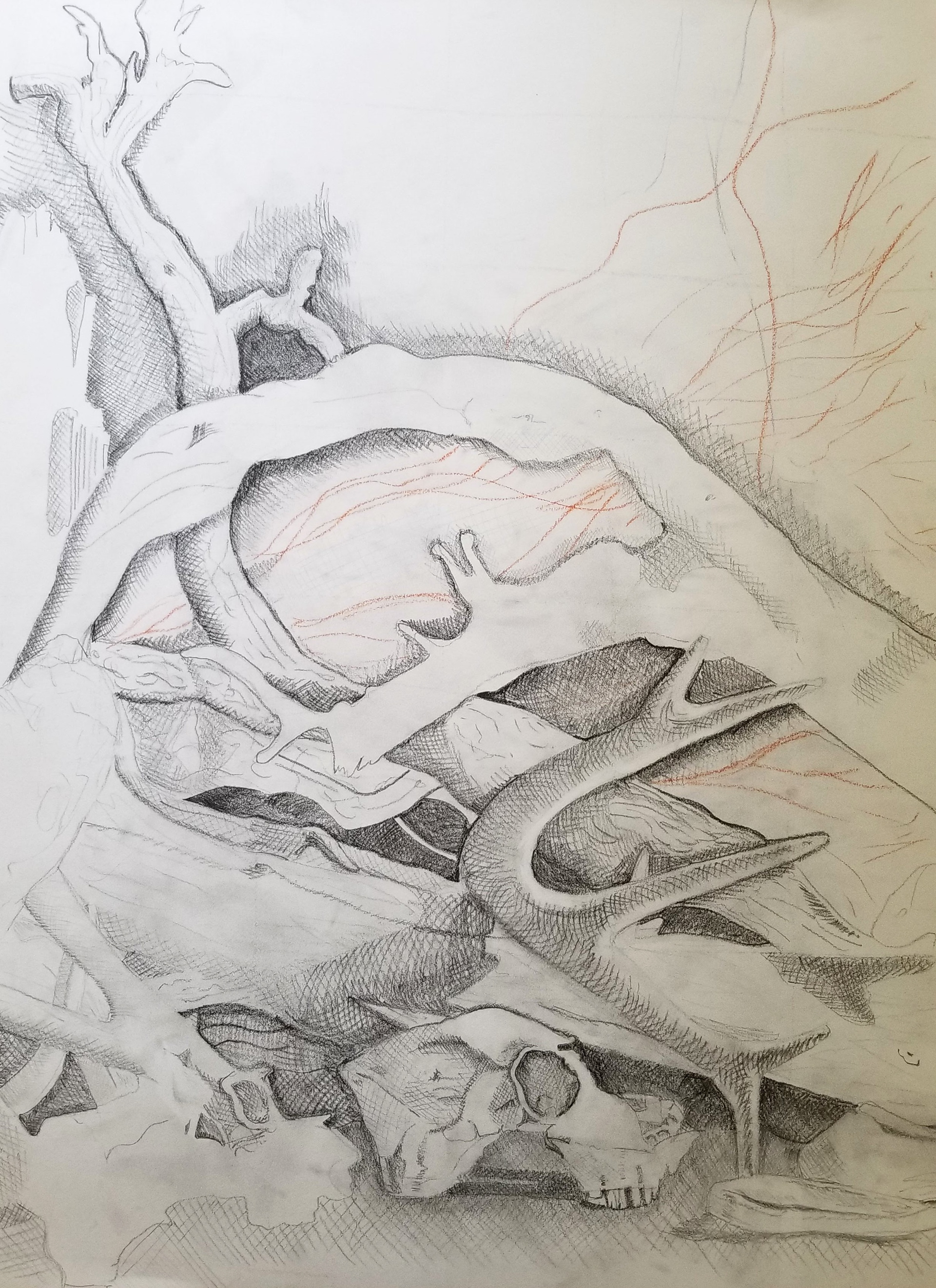 Graphite and Conte, 2019