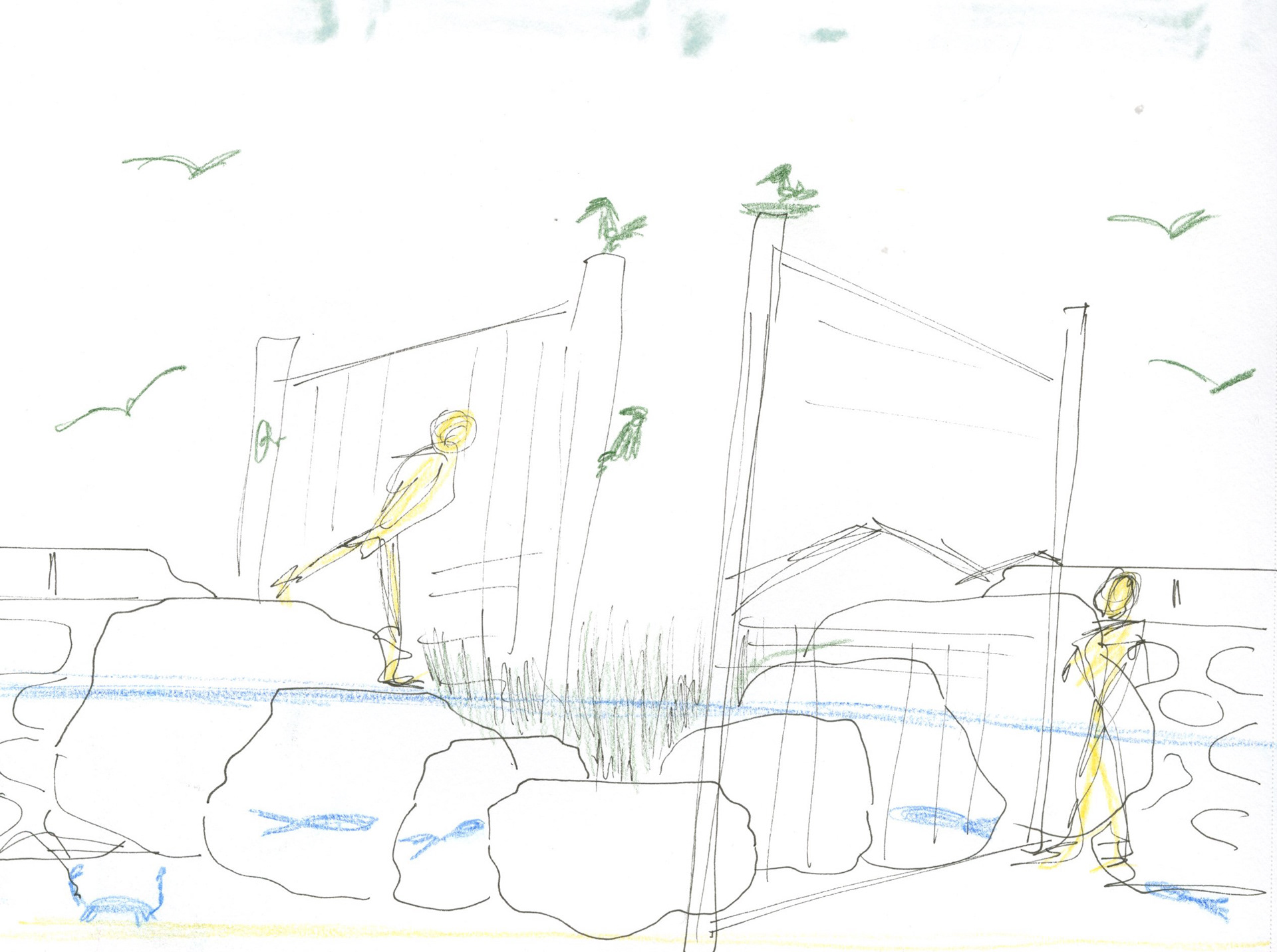 Section Rough Sketch (Pencil Crayons)