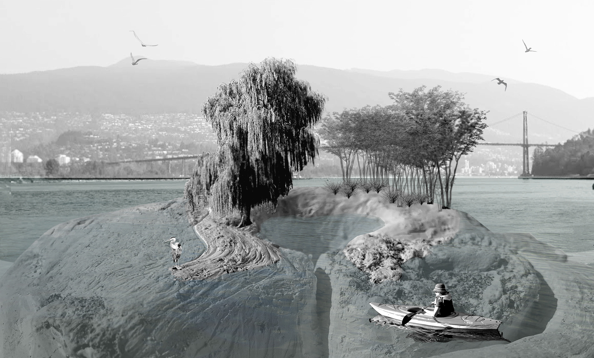 Driftwood On Stanley Park Beach Photography Art