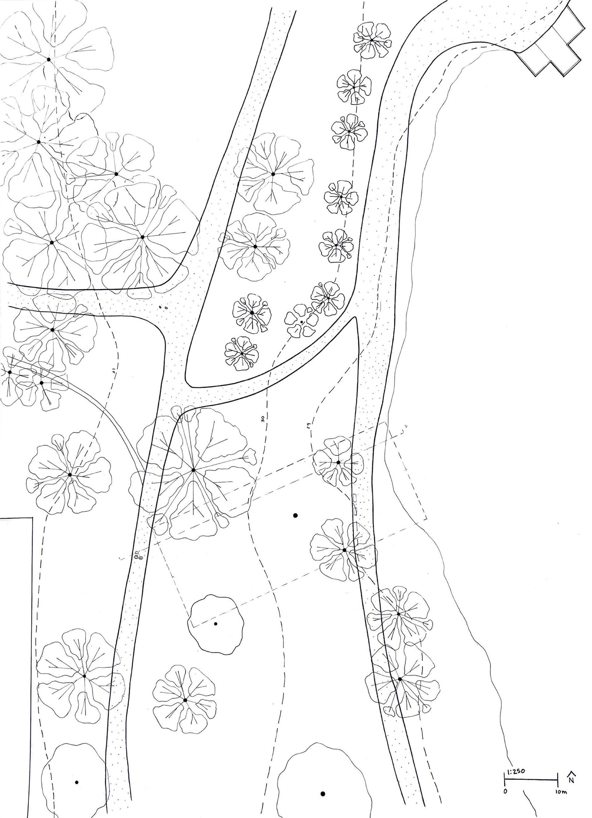 Process Work, Trout Lake Site Plan 1:250 (Hand drawn)