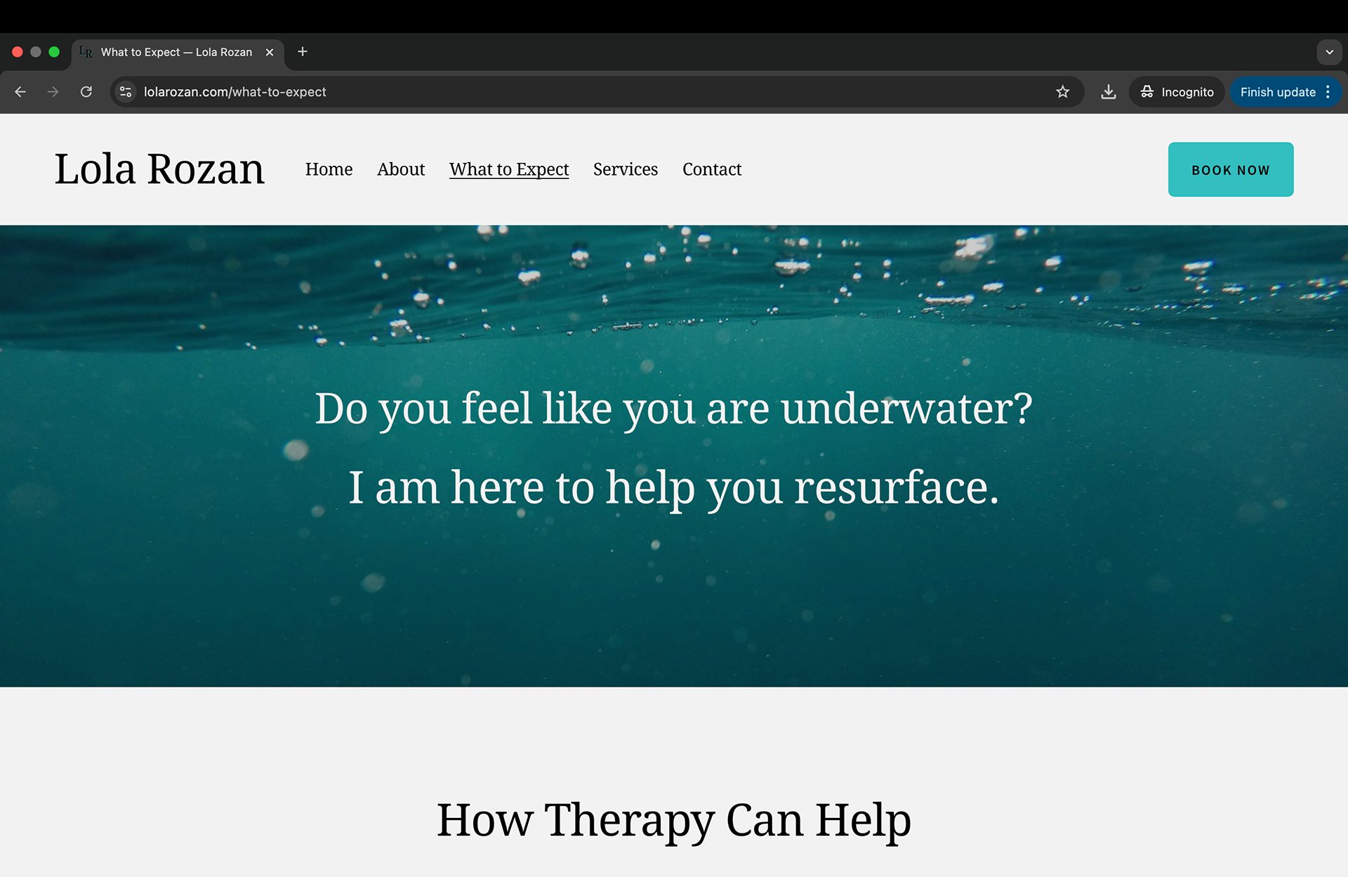 What to Expect page - above the fold