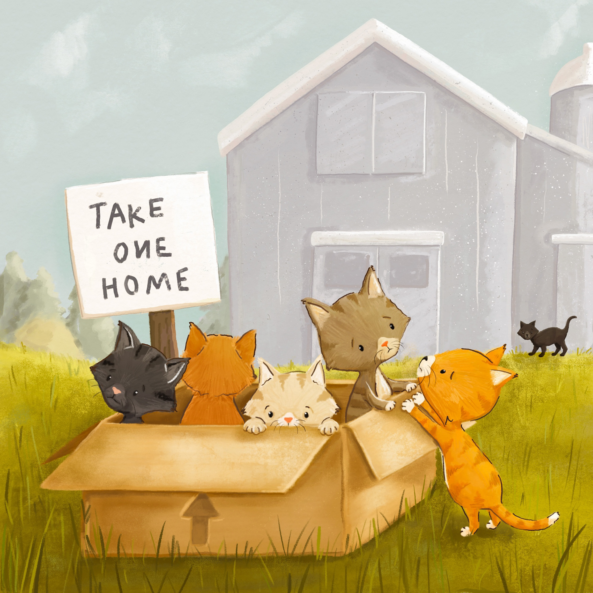 Take One Home