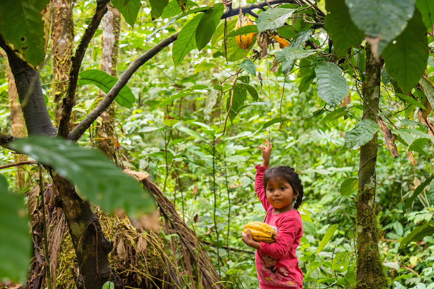 Revitalización Cultural en Amazonía Ecuatoriana (2021).